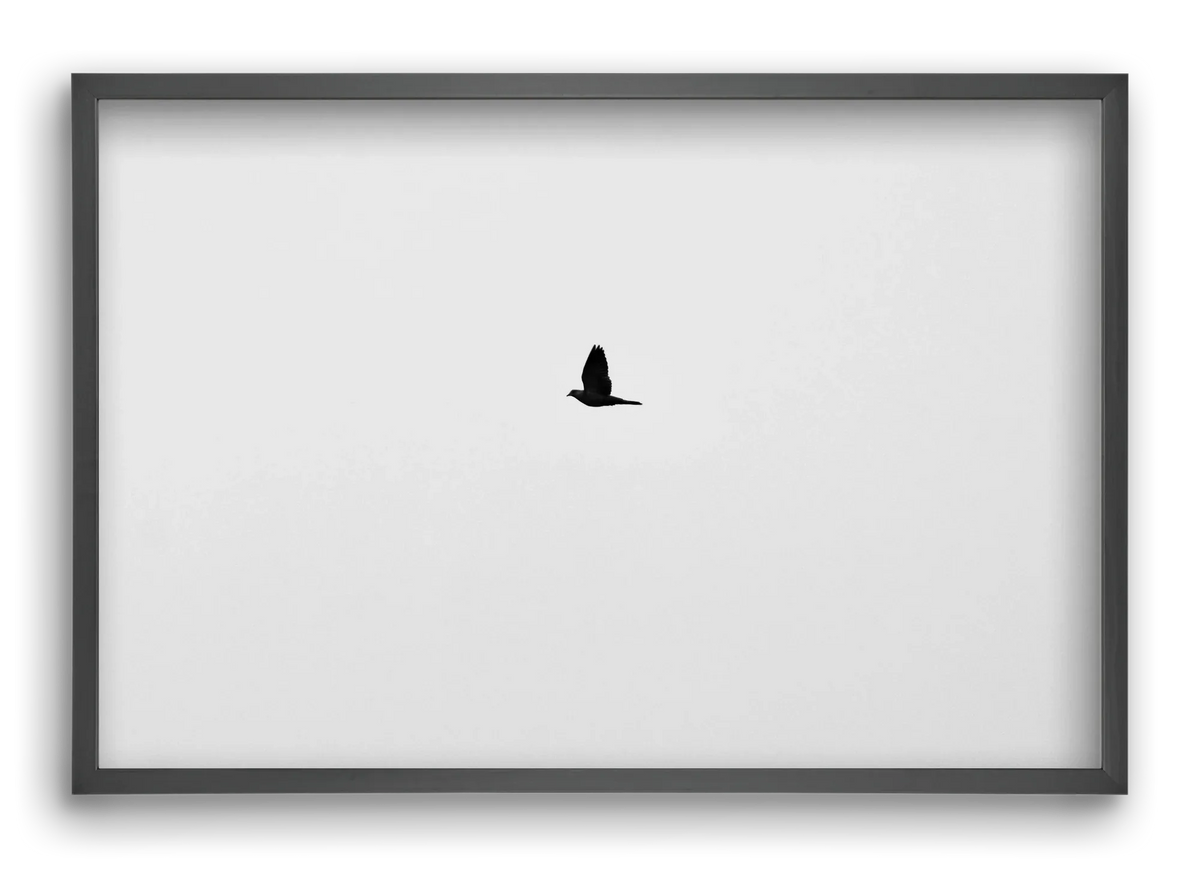 Sound - artbridge
