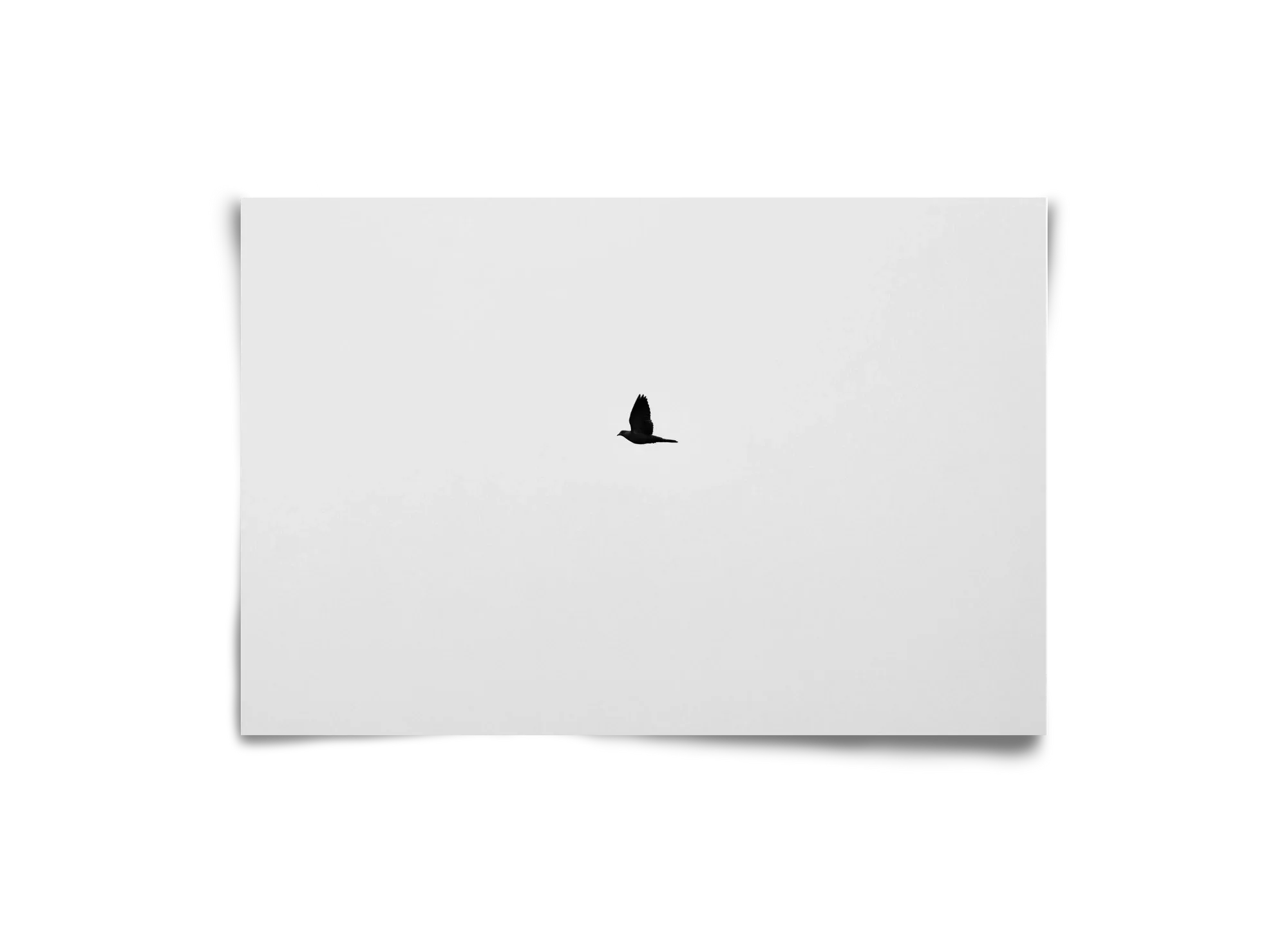 Sound - artbridge