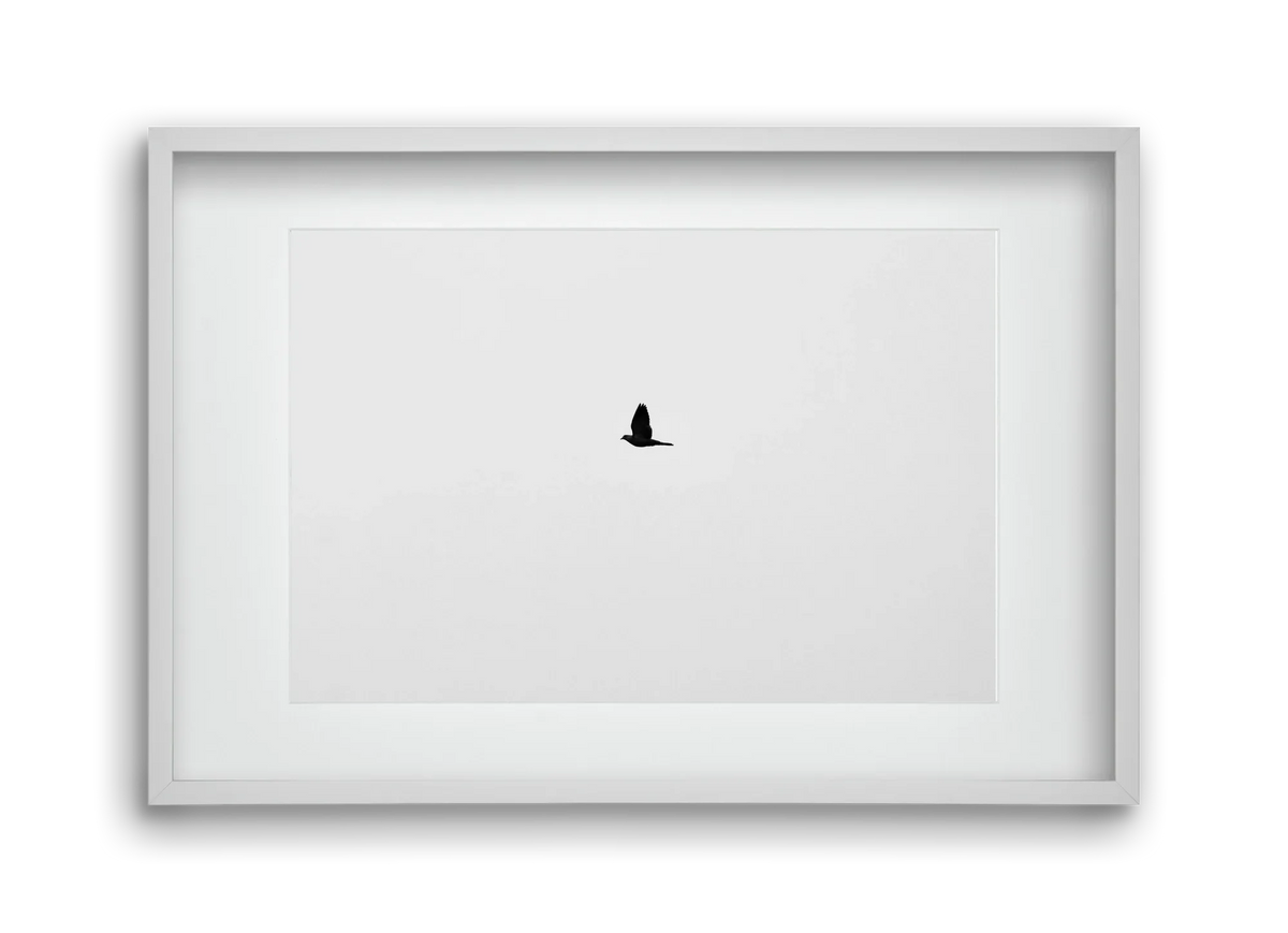 Sound - artbridge