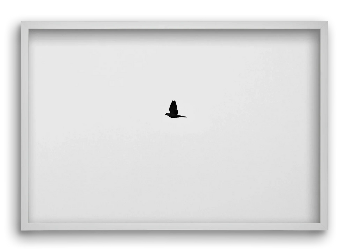 Sound - artbridge