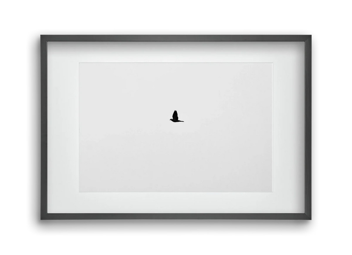 Sound - artbridge