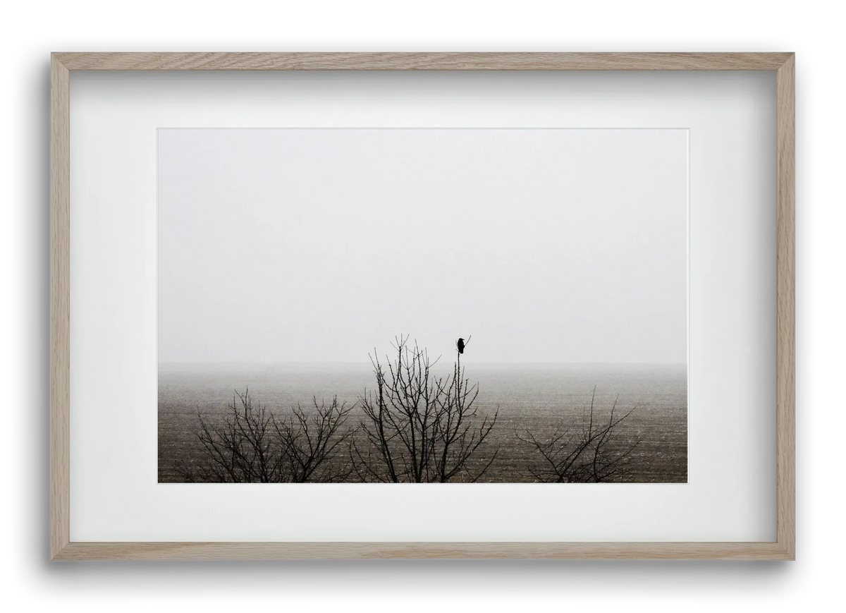 home - artbridge