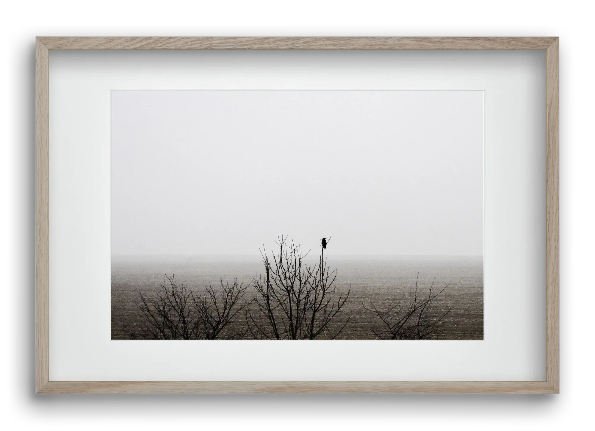 home - artbridge
