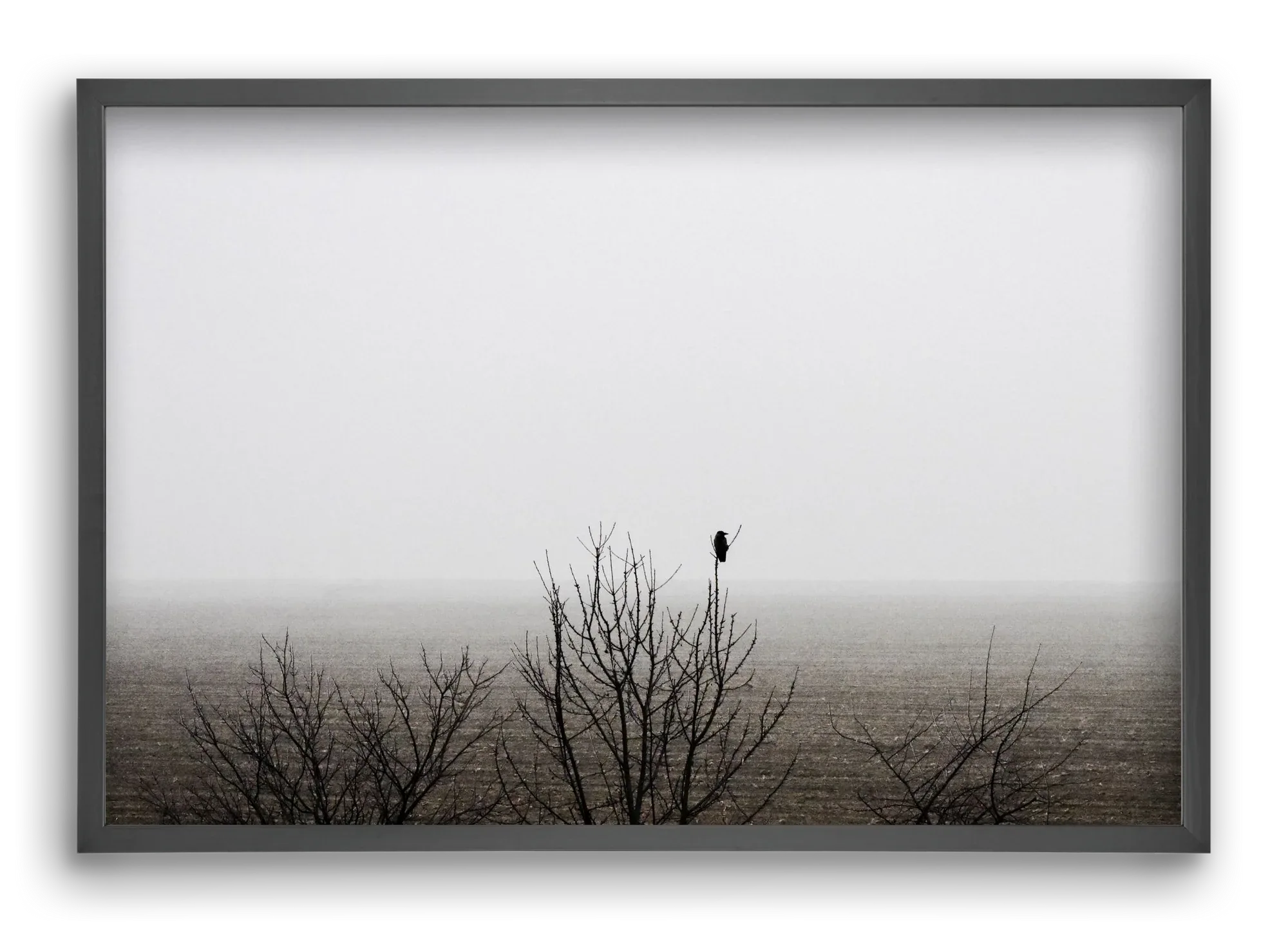 home - artbridge