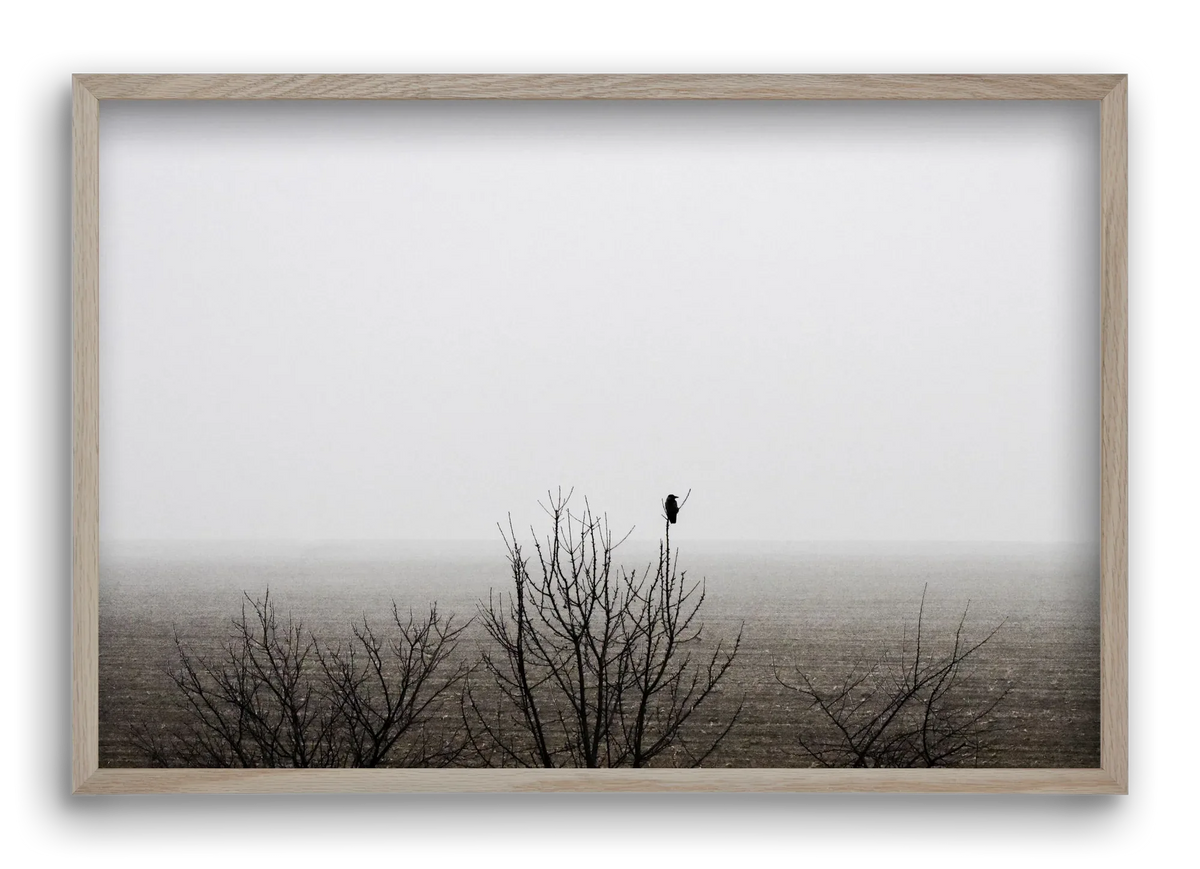 home - artbridge