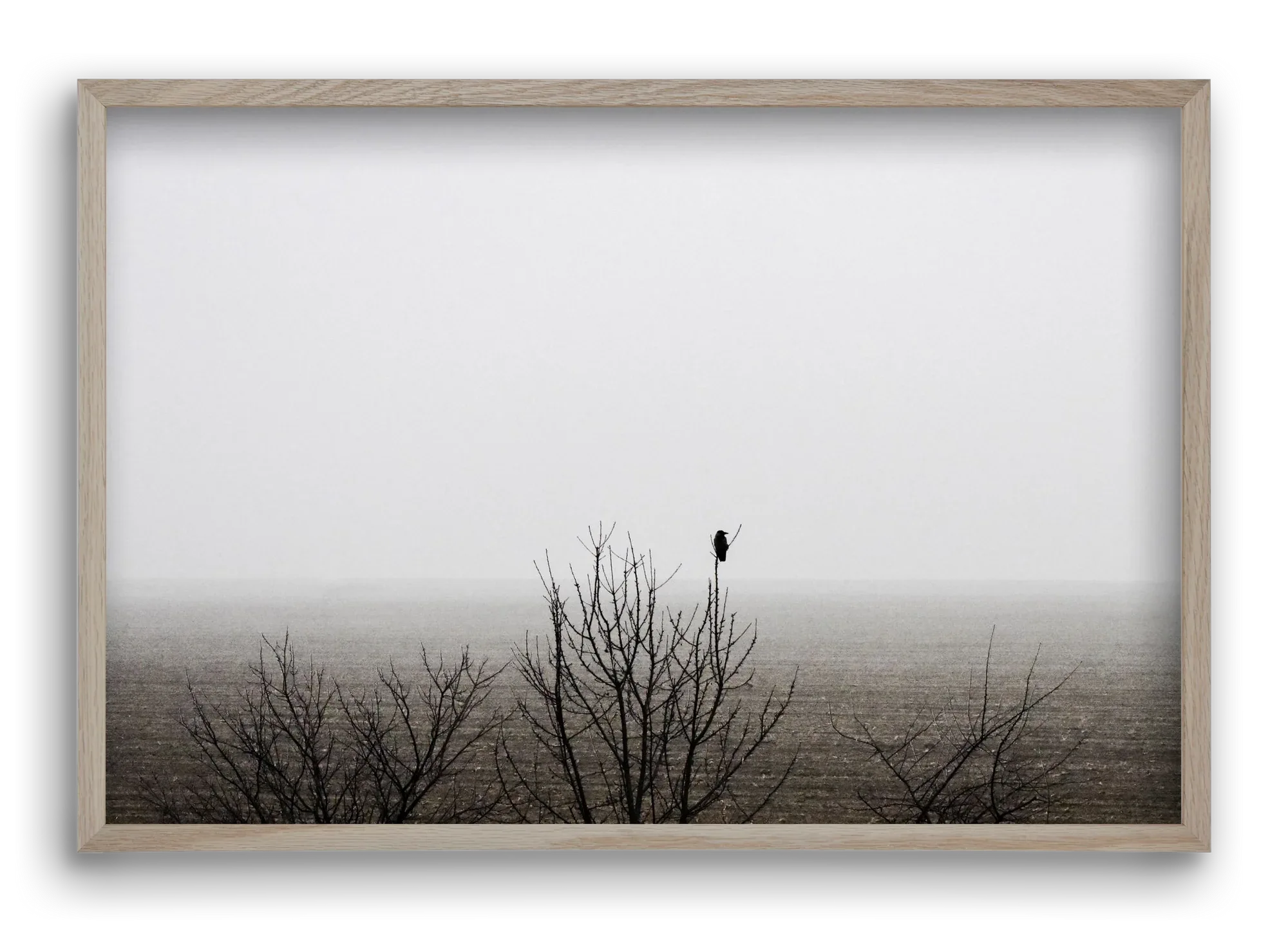 home - artbridge