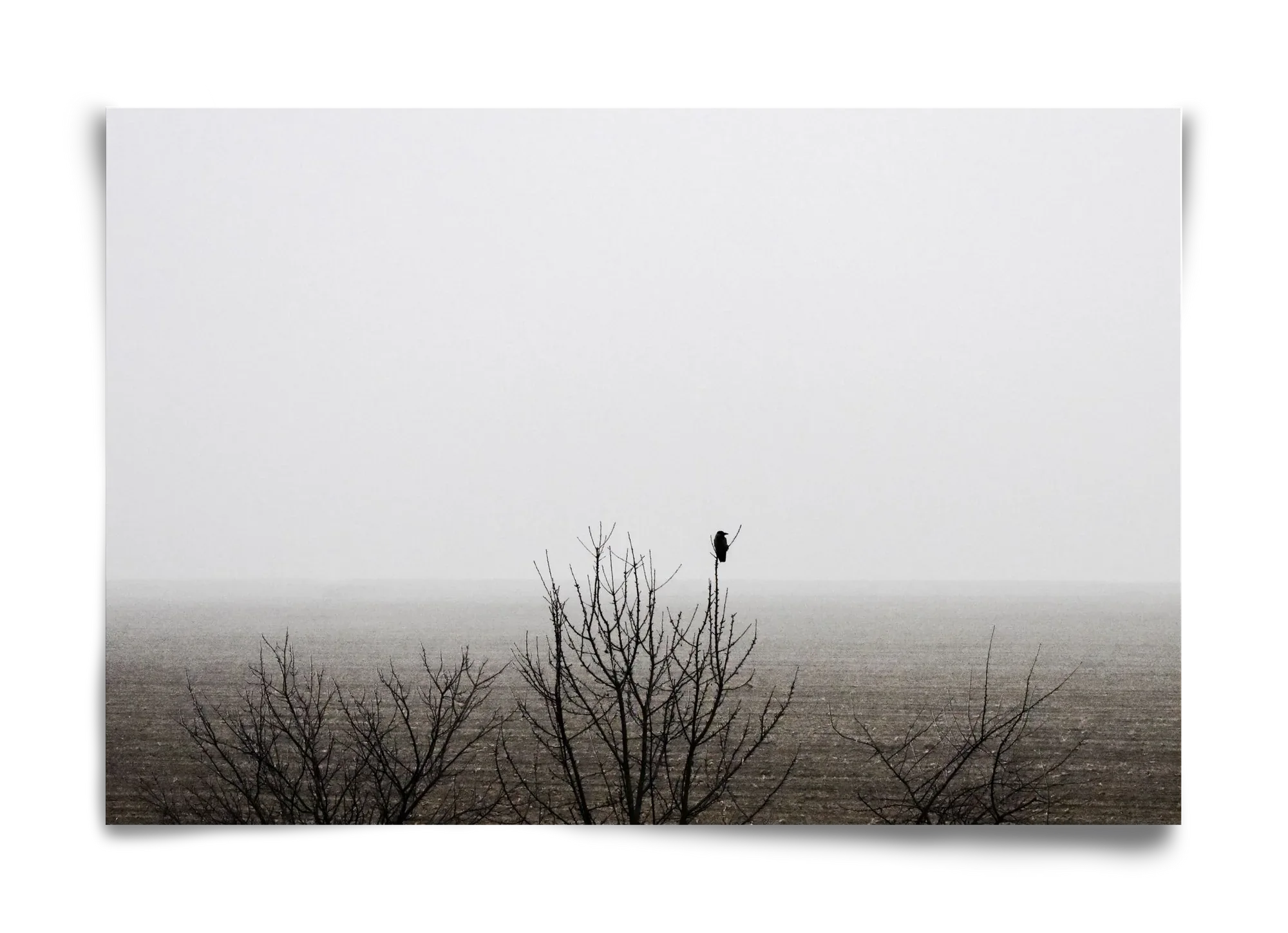 home - artbridge