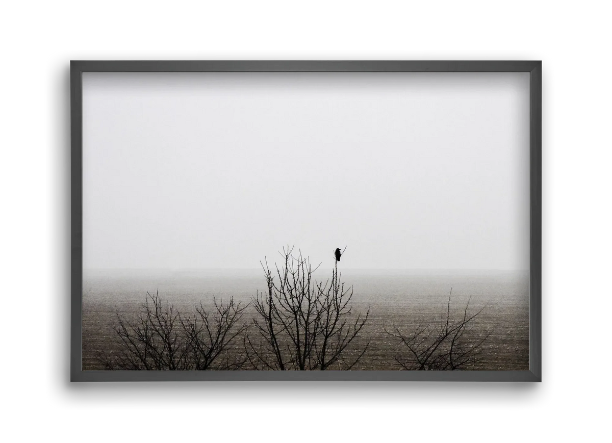 home - artbridge