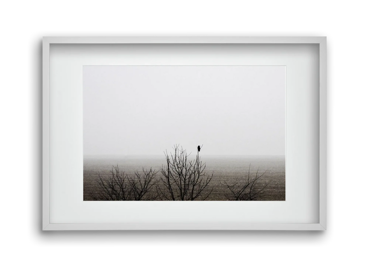 home - artbridge