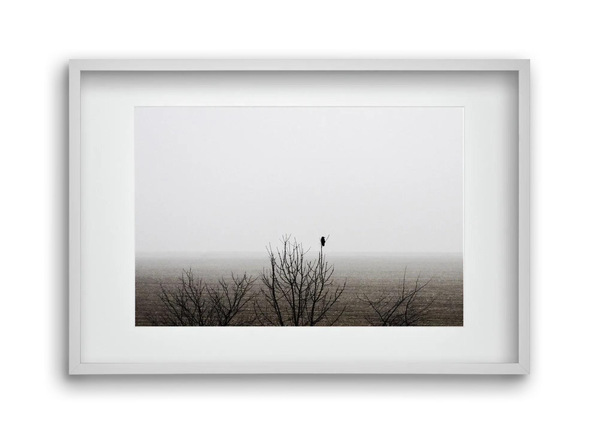 home - artbridge