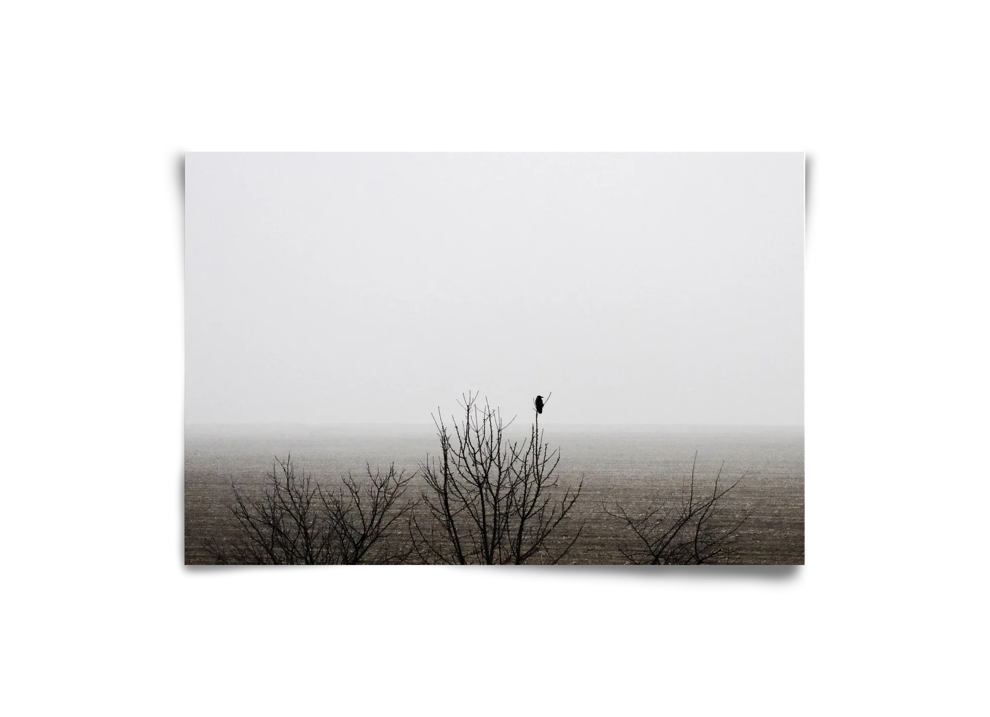 home - artbridge