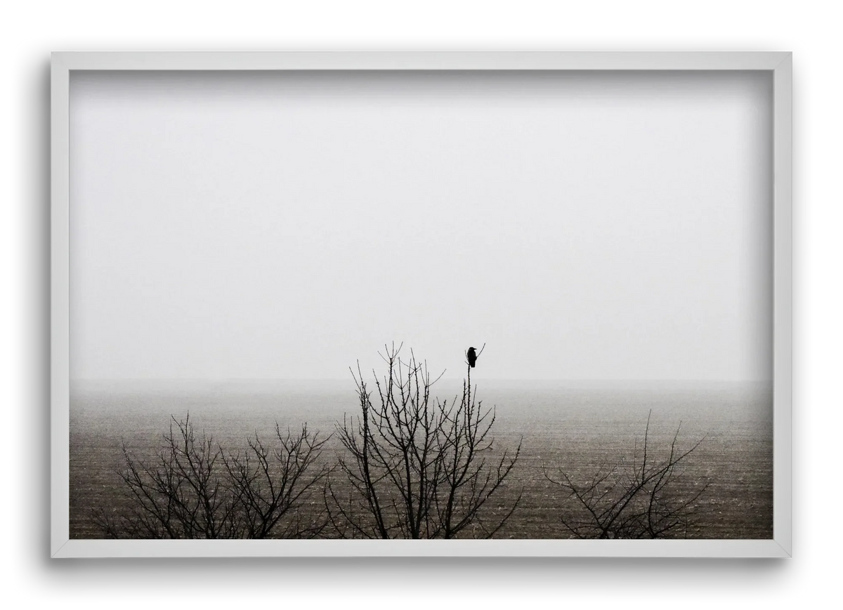 home - artbridge
