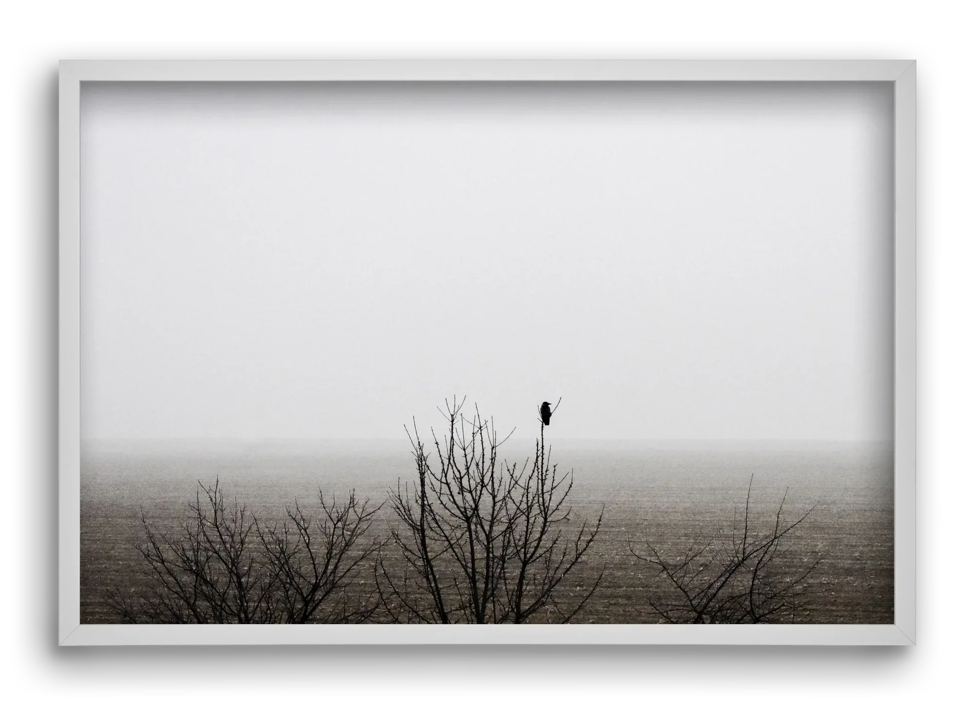 home - artbridge