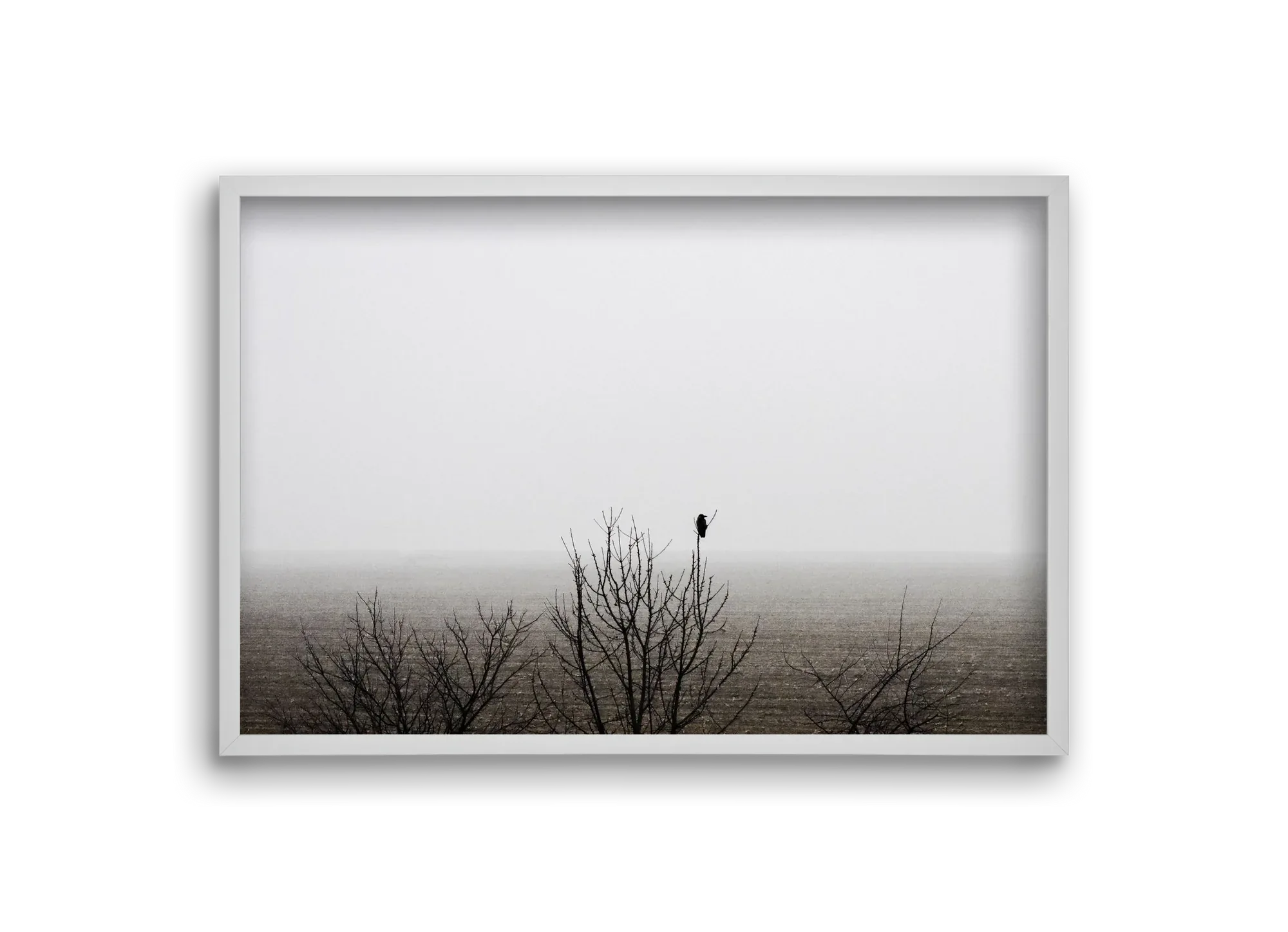 home - artbridge
