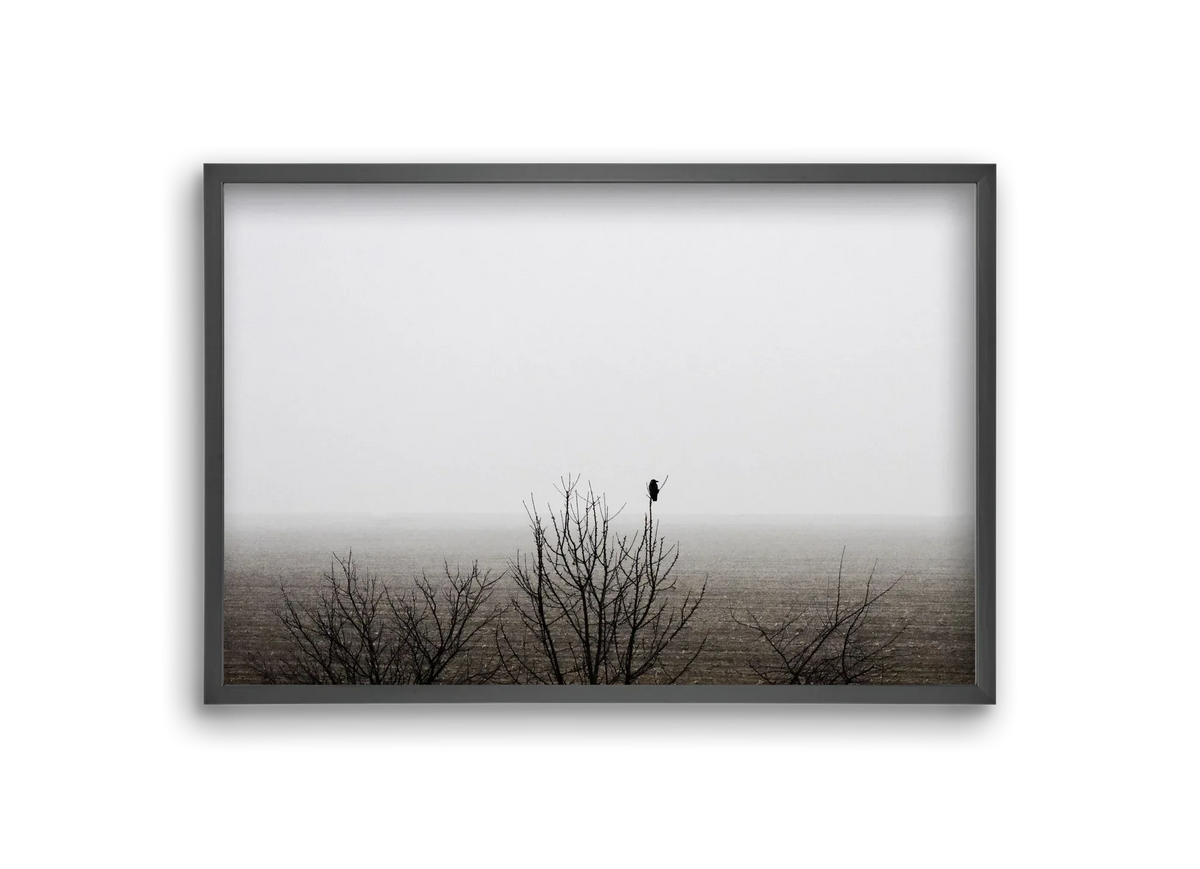 home - artbridge