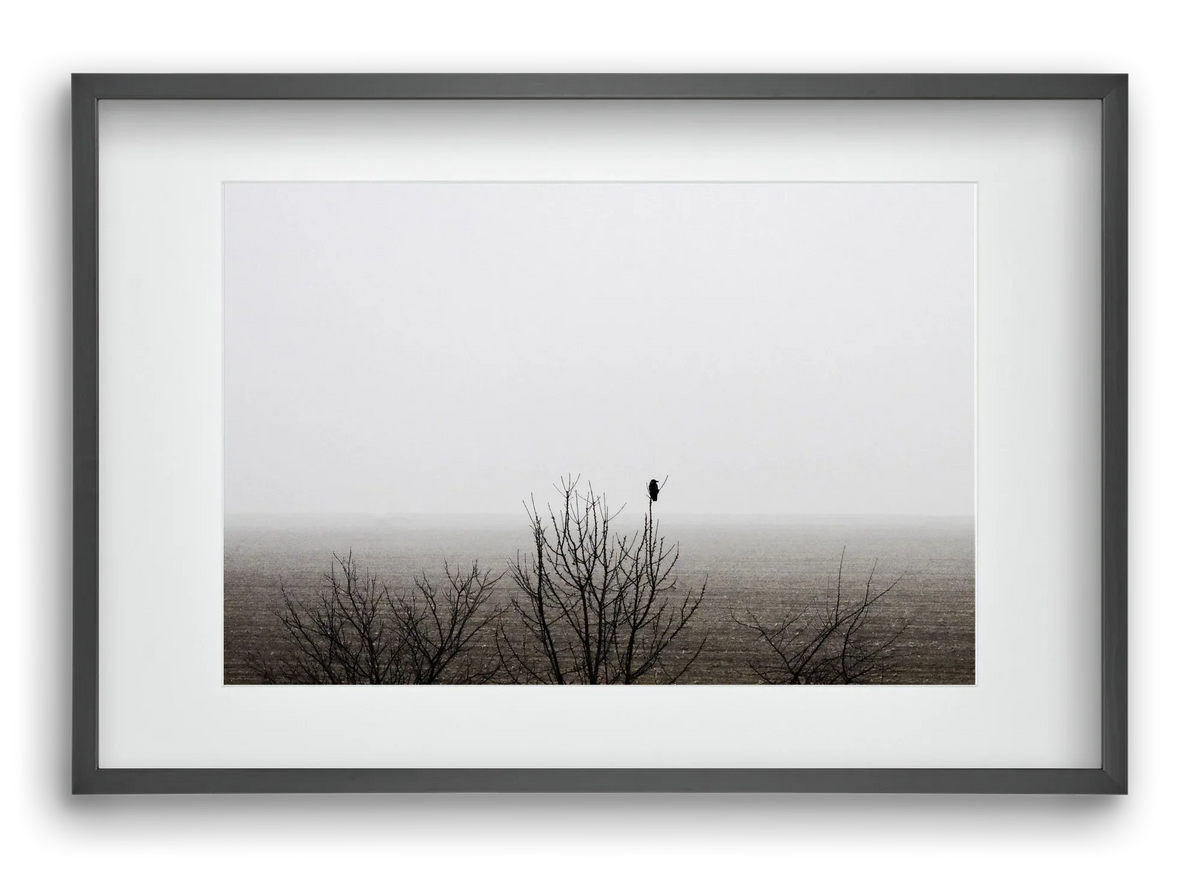 home - artbridge
