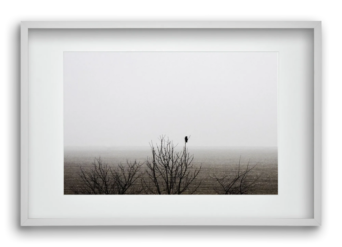 home - artbridge
