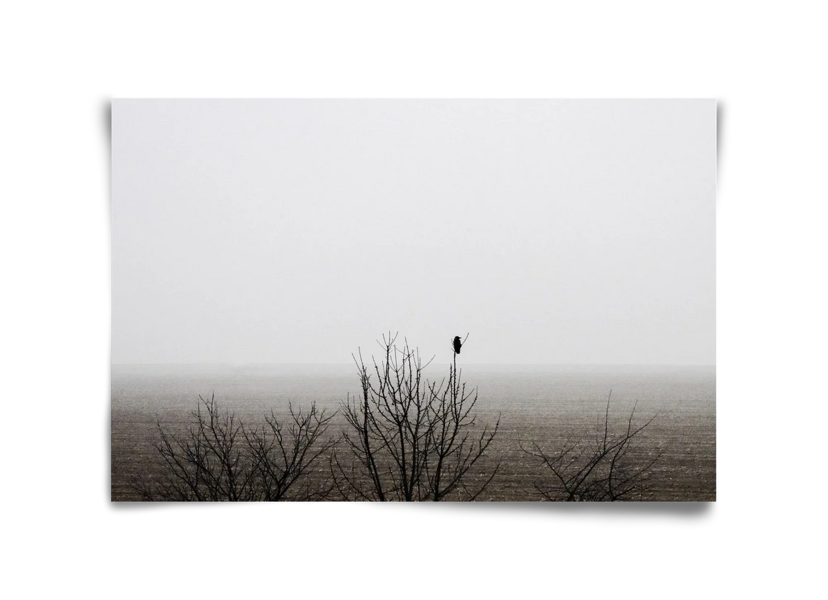 home - artbridge