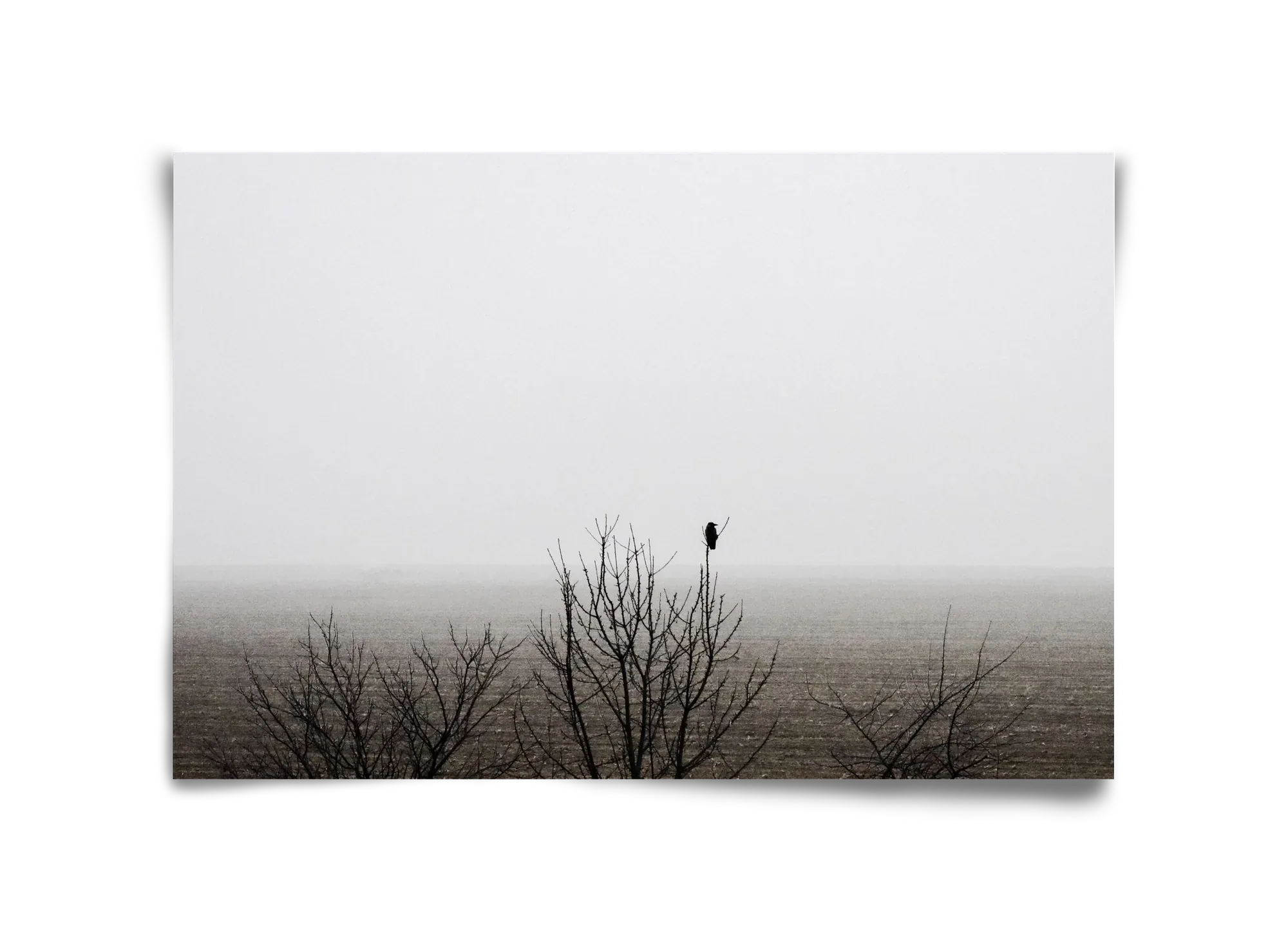 home - artbridge