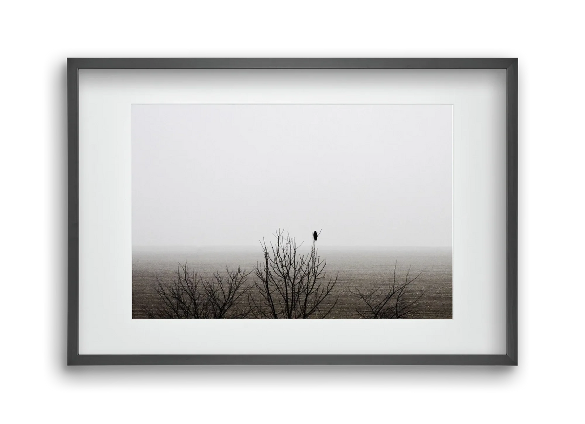 home - artbridge
