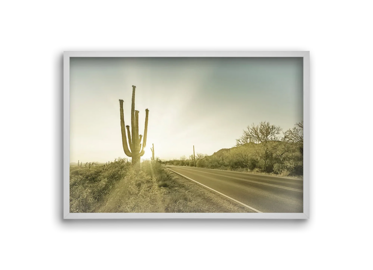 SAGUARO NATIONAL PARK Setting Sun | Vintage - artbridge