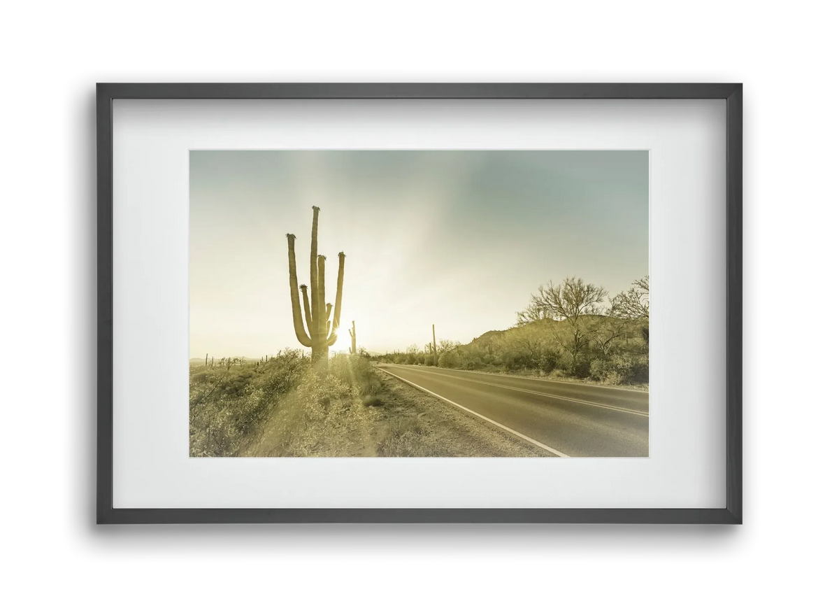 SAGUARO NATIONAL PARK Setting Sun | Vintage - artbridge