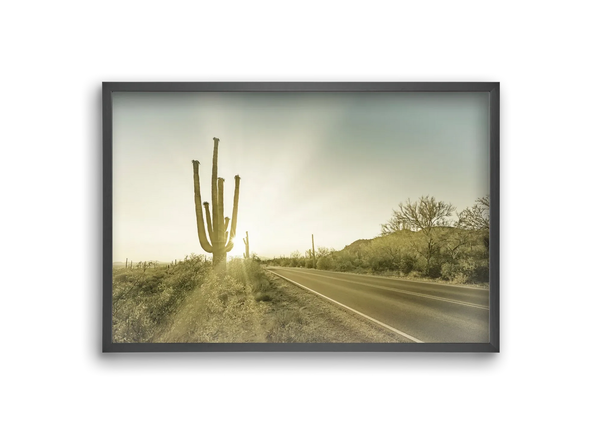 SAGUARO NATIONAL PARK Setting Sun | Vintage - artbridge