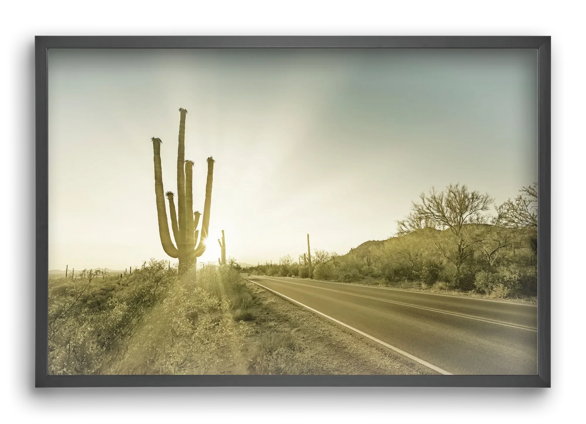 SAGUARO NATIONAL PARK Setting Sun | Vintage - artbridge