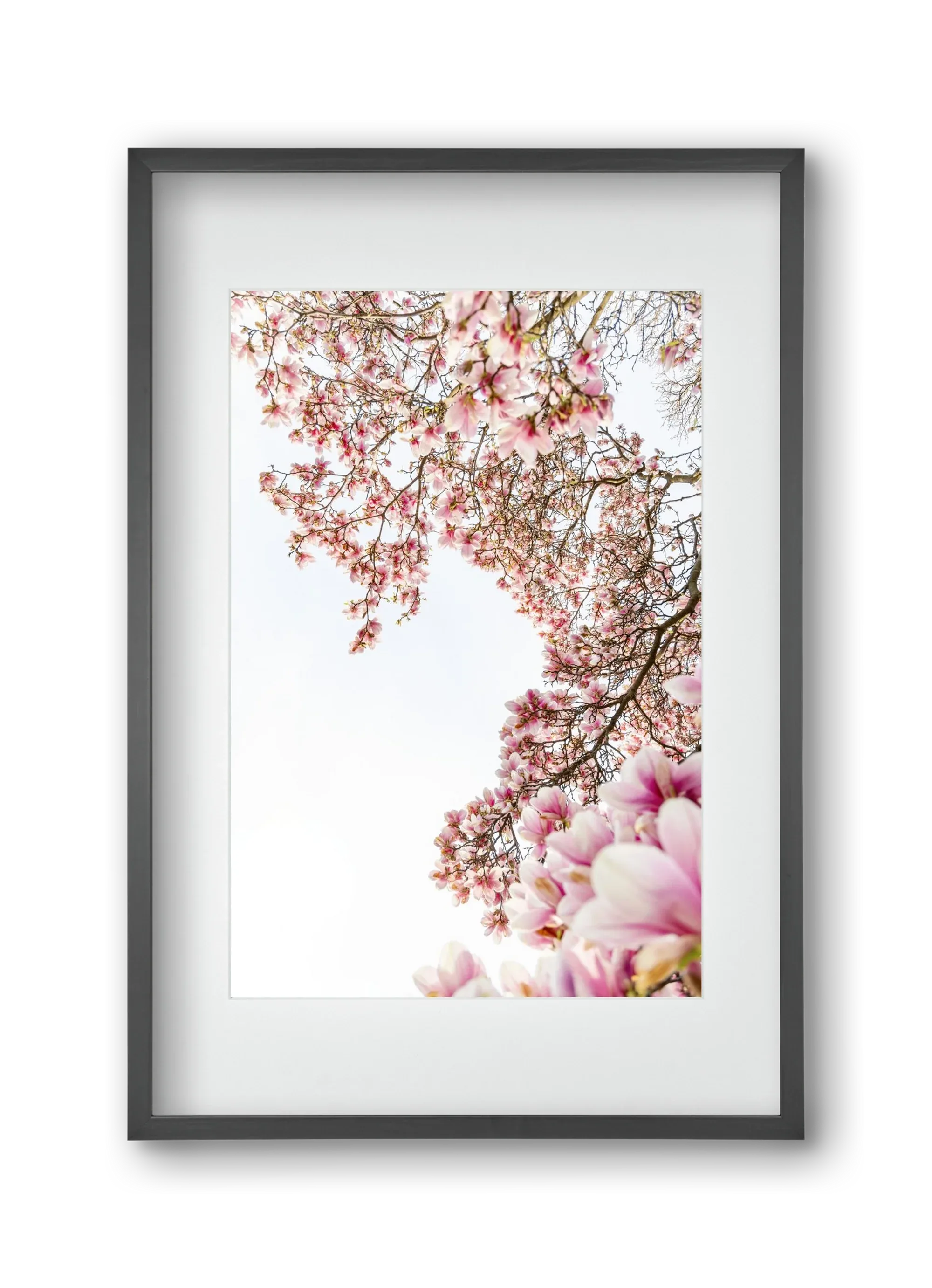hello SPRING - artbridge