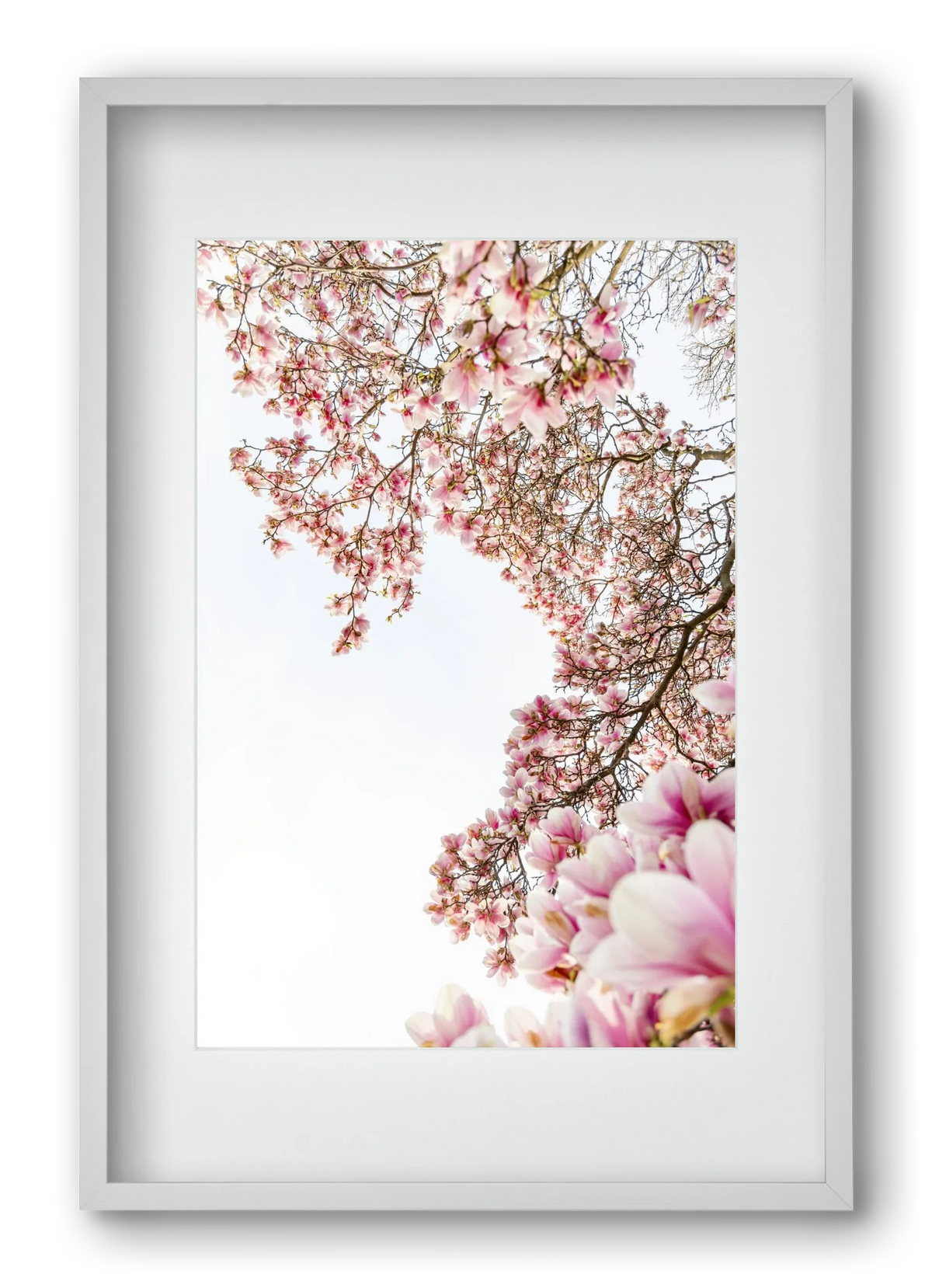 hello SPRING - artbridge