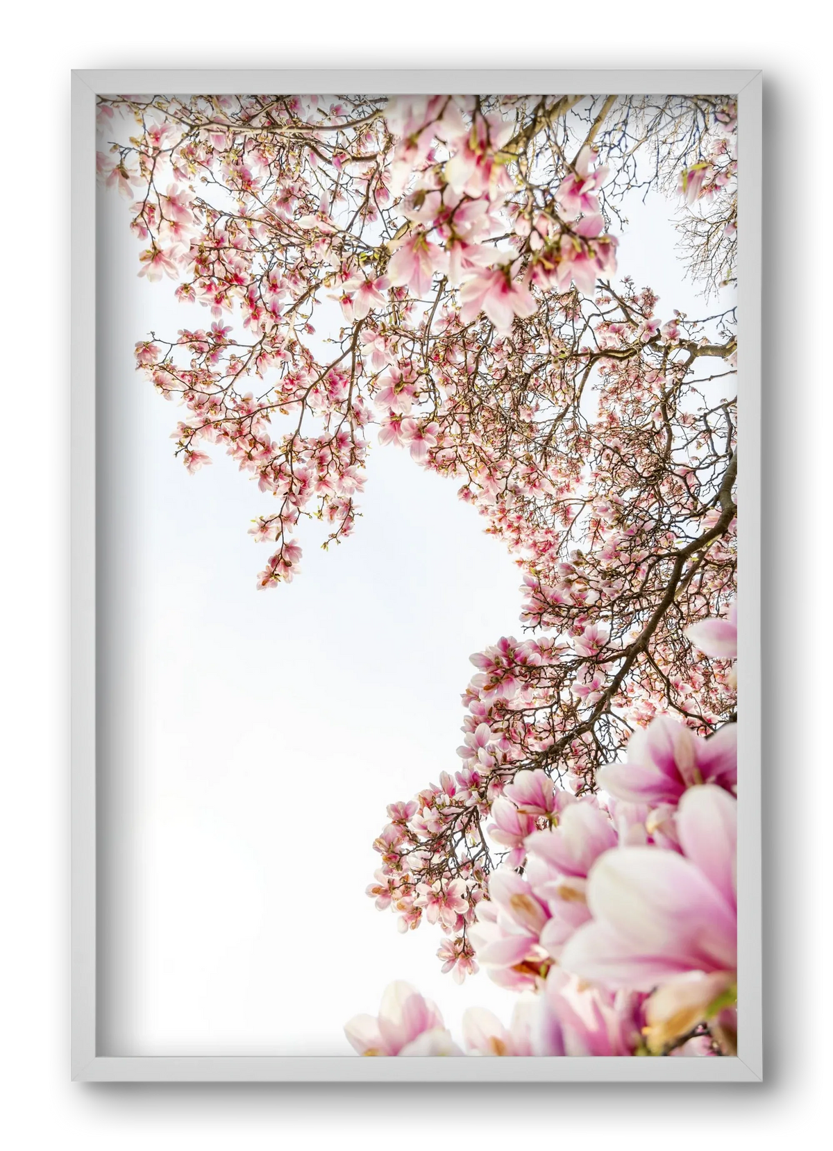 hello SPRING - artbridge
