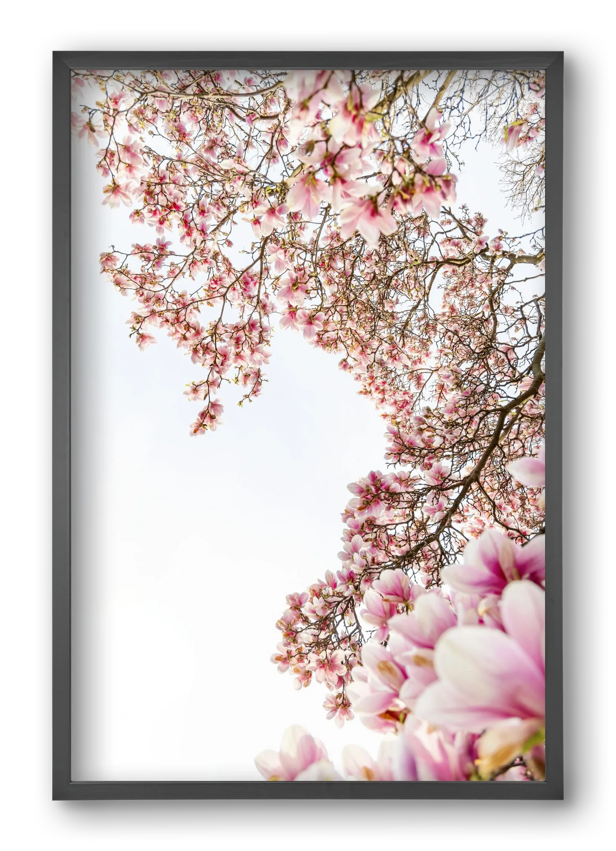 hello SPRING - artbridge