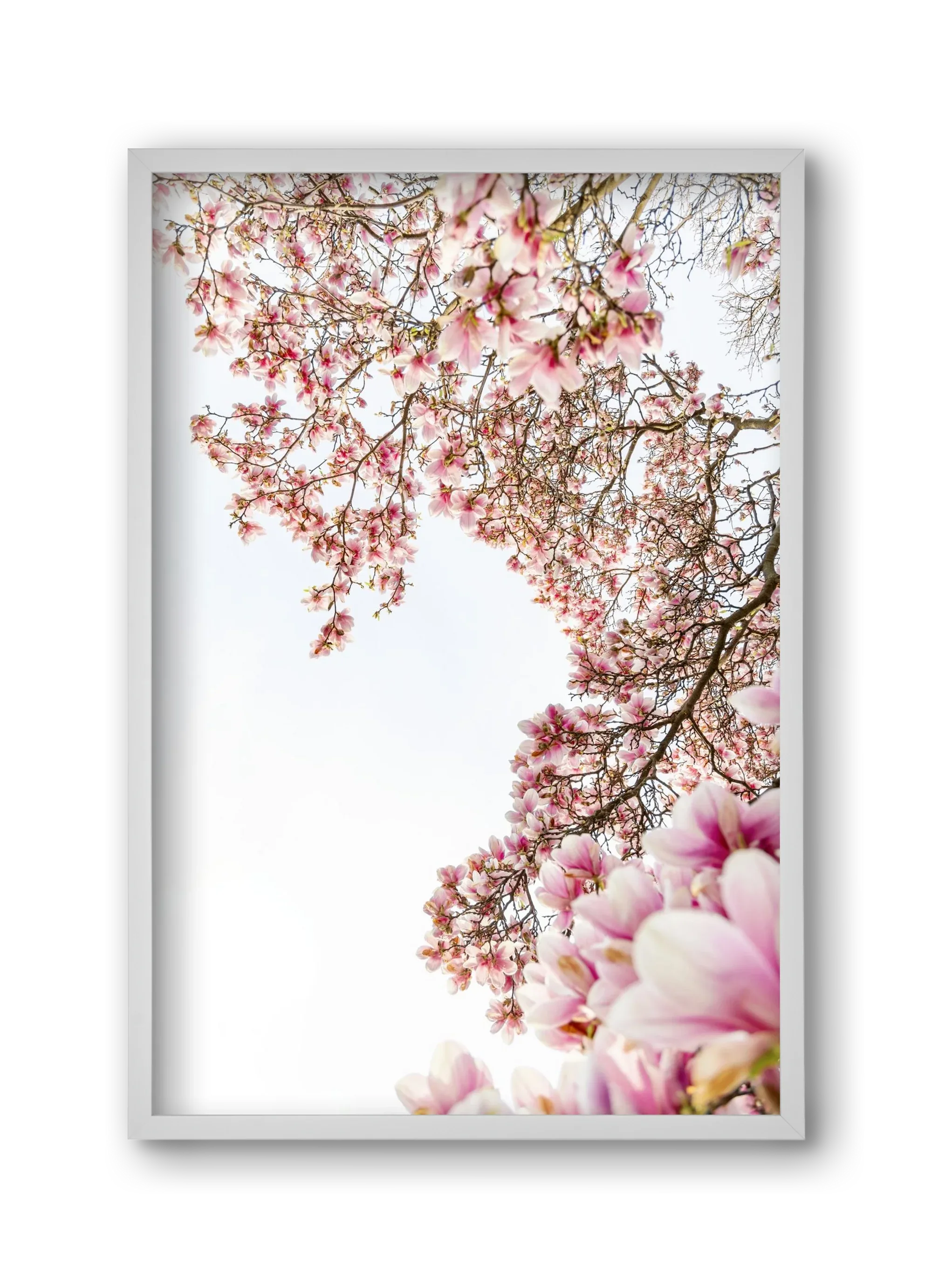hello SPRING - artbridge