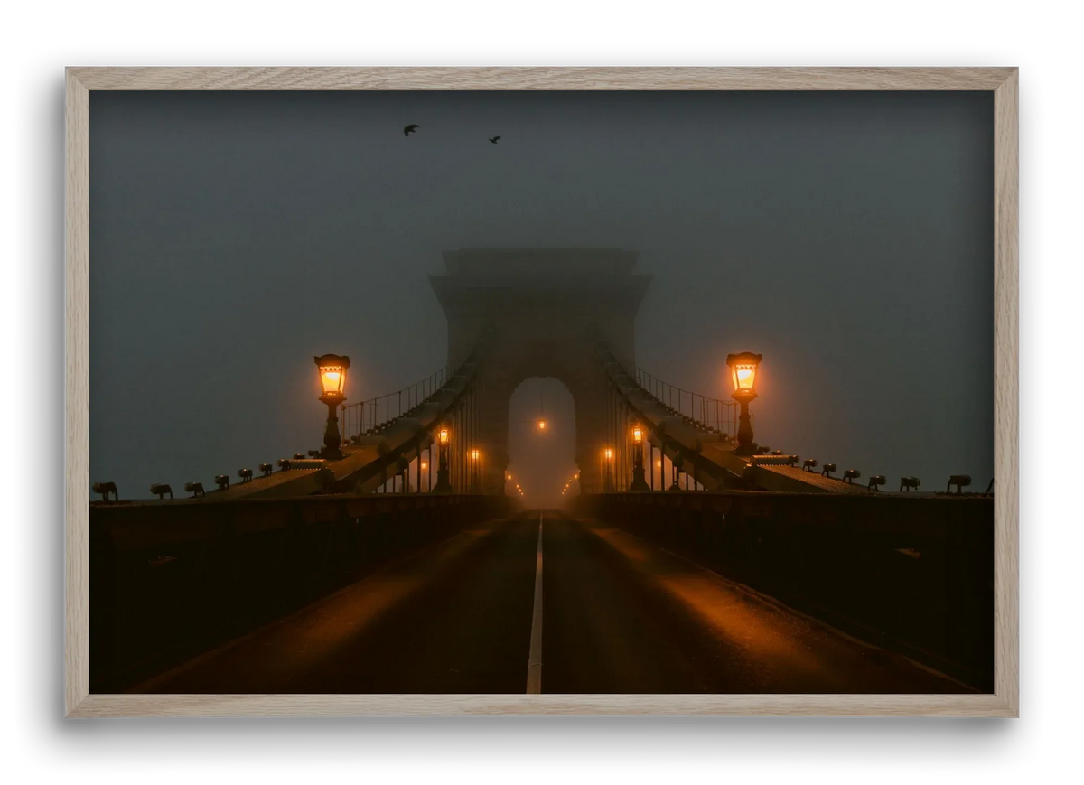 Foggy morning - artbridge