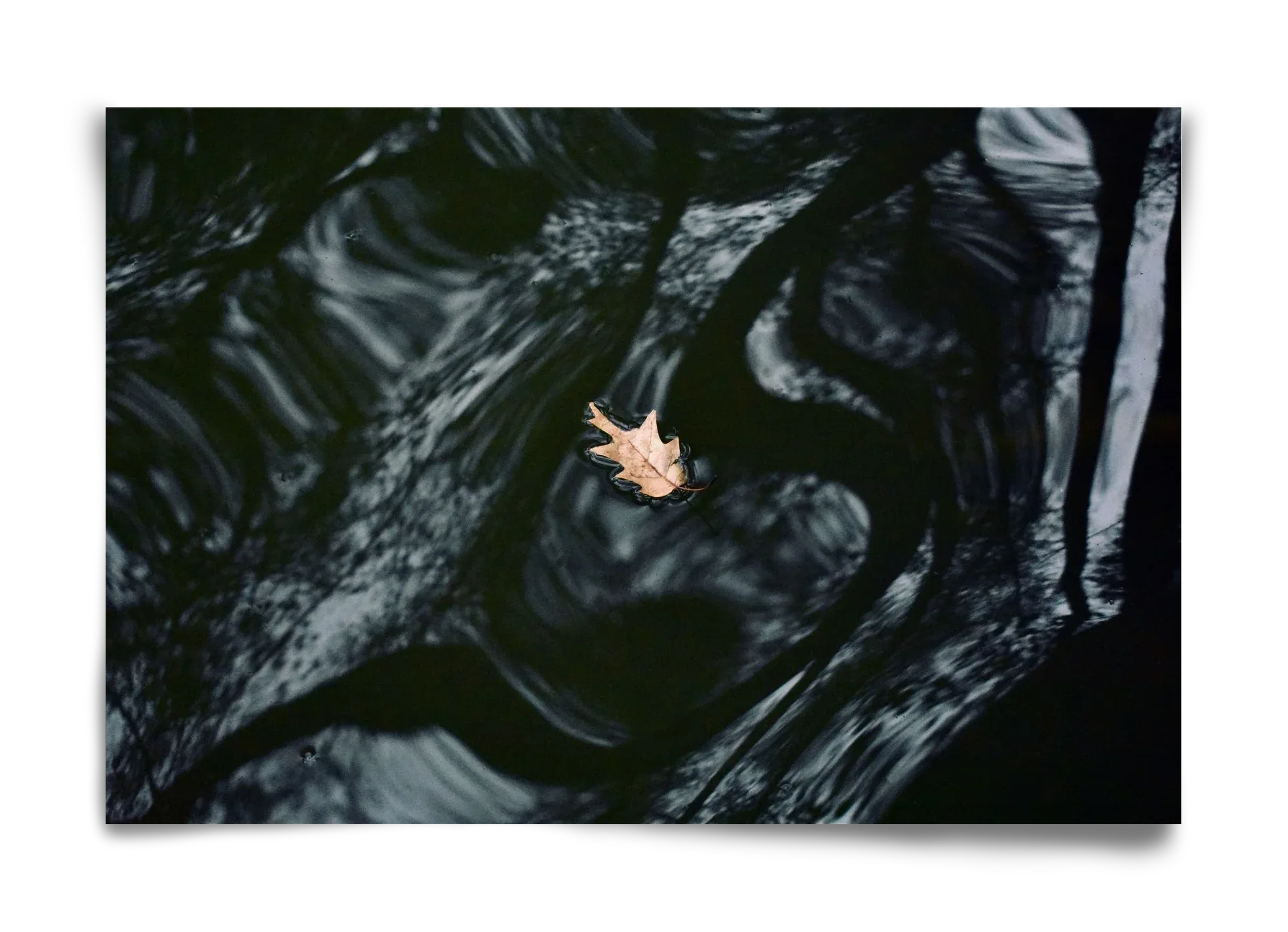 water philosophy - artbridge