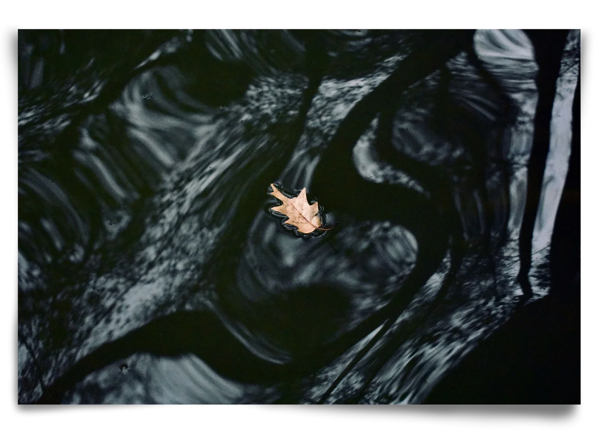 water philosophy - artbridge