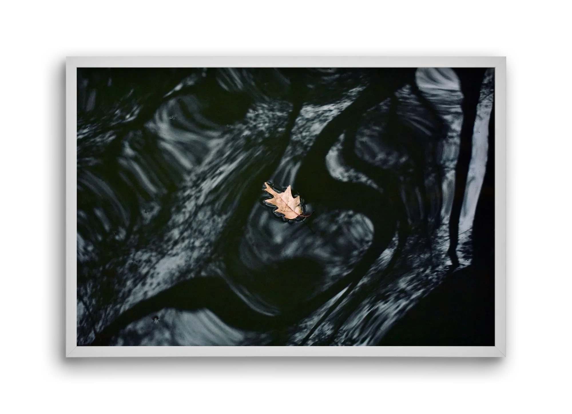 water philosophy - artbridge