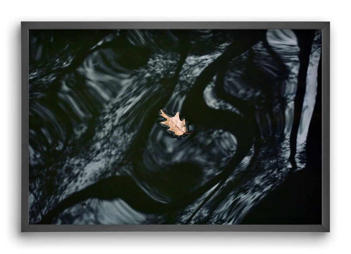 water philosophy - artbridge