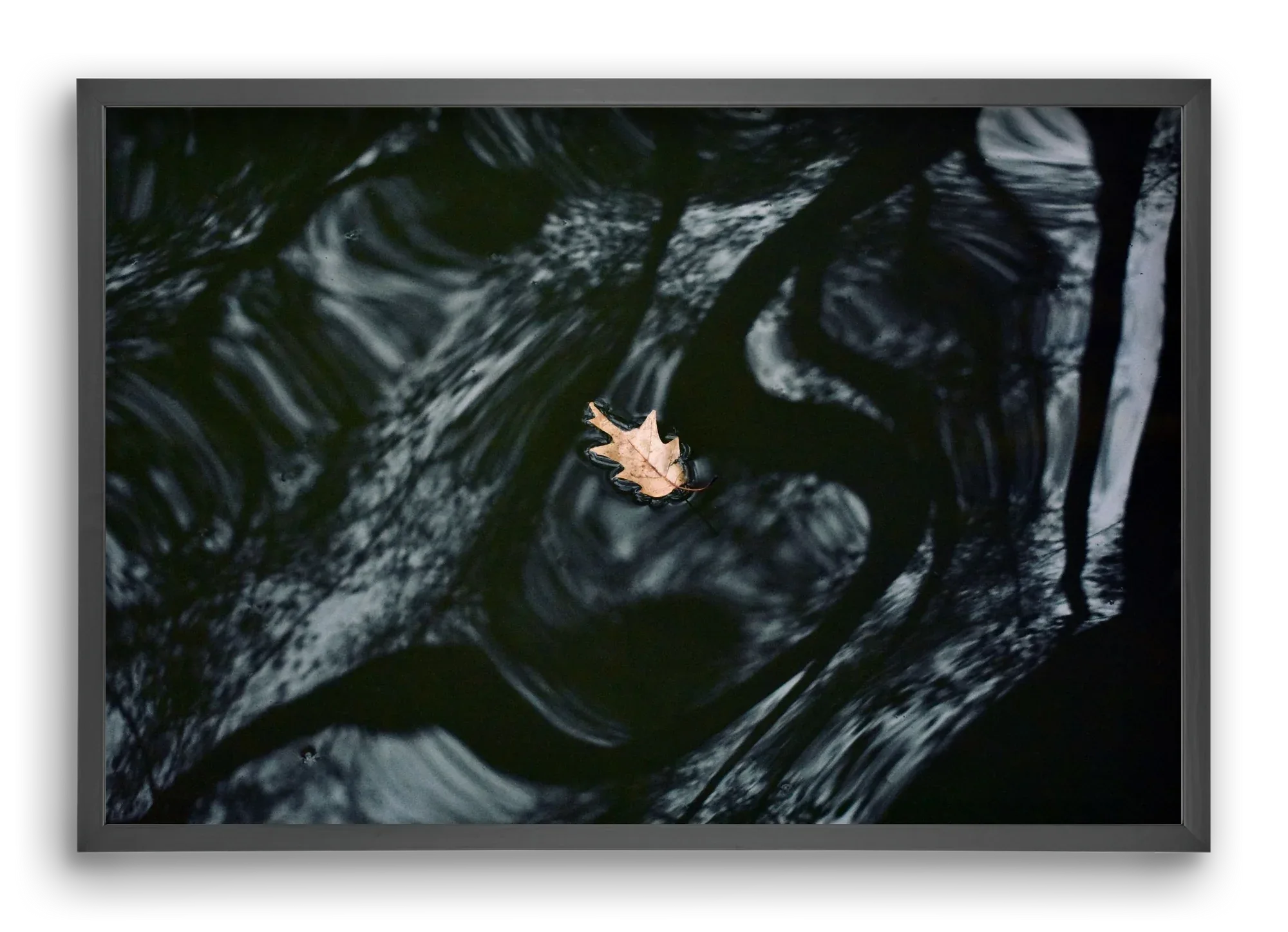 water philosophy - artbridge