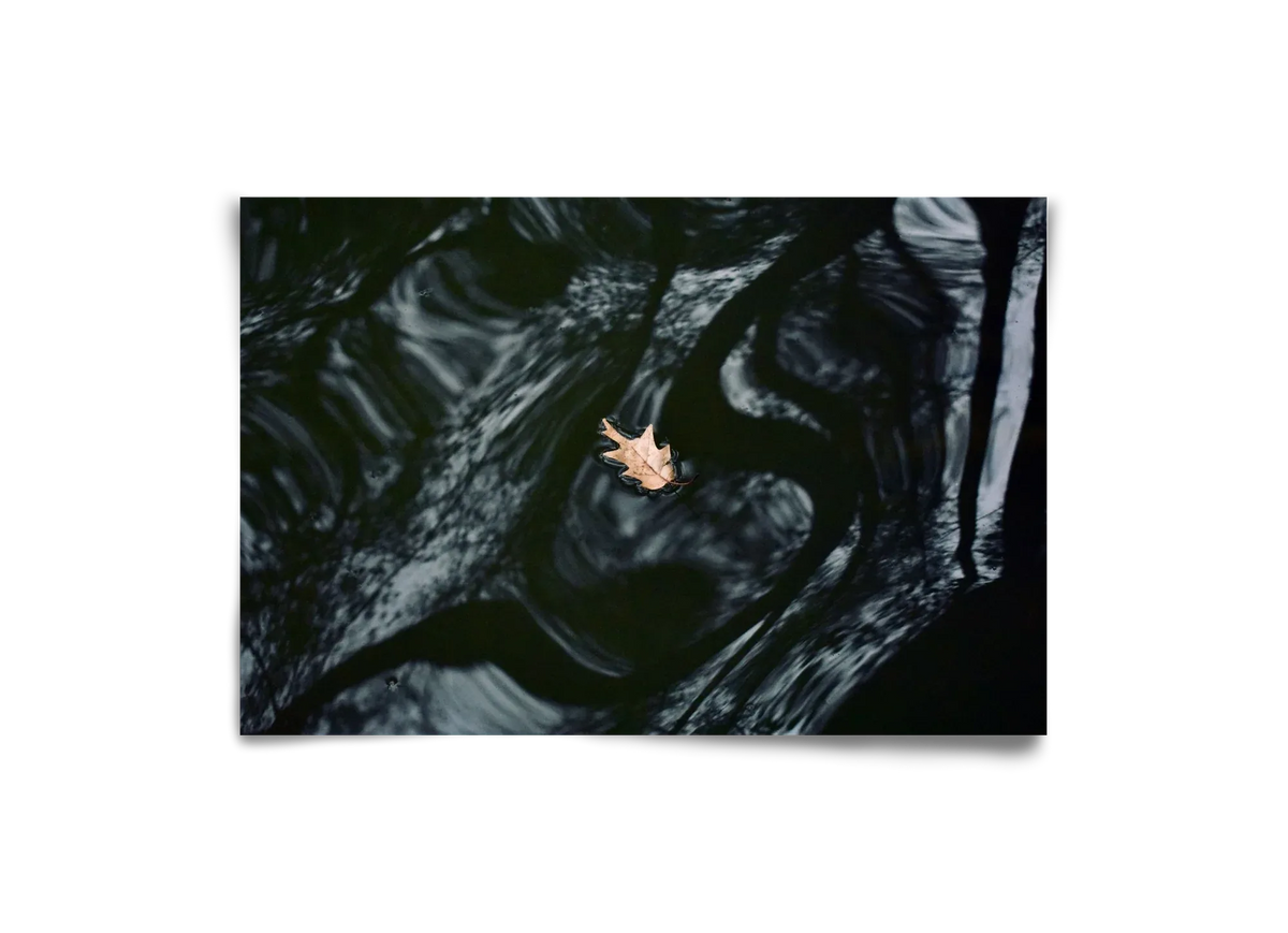 water philosophy - artbridge