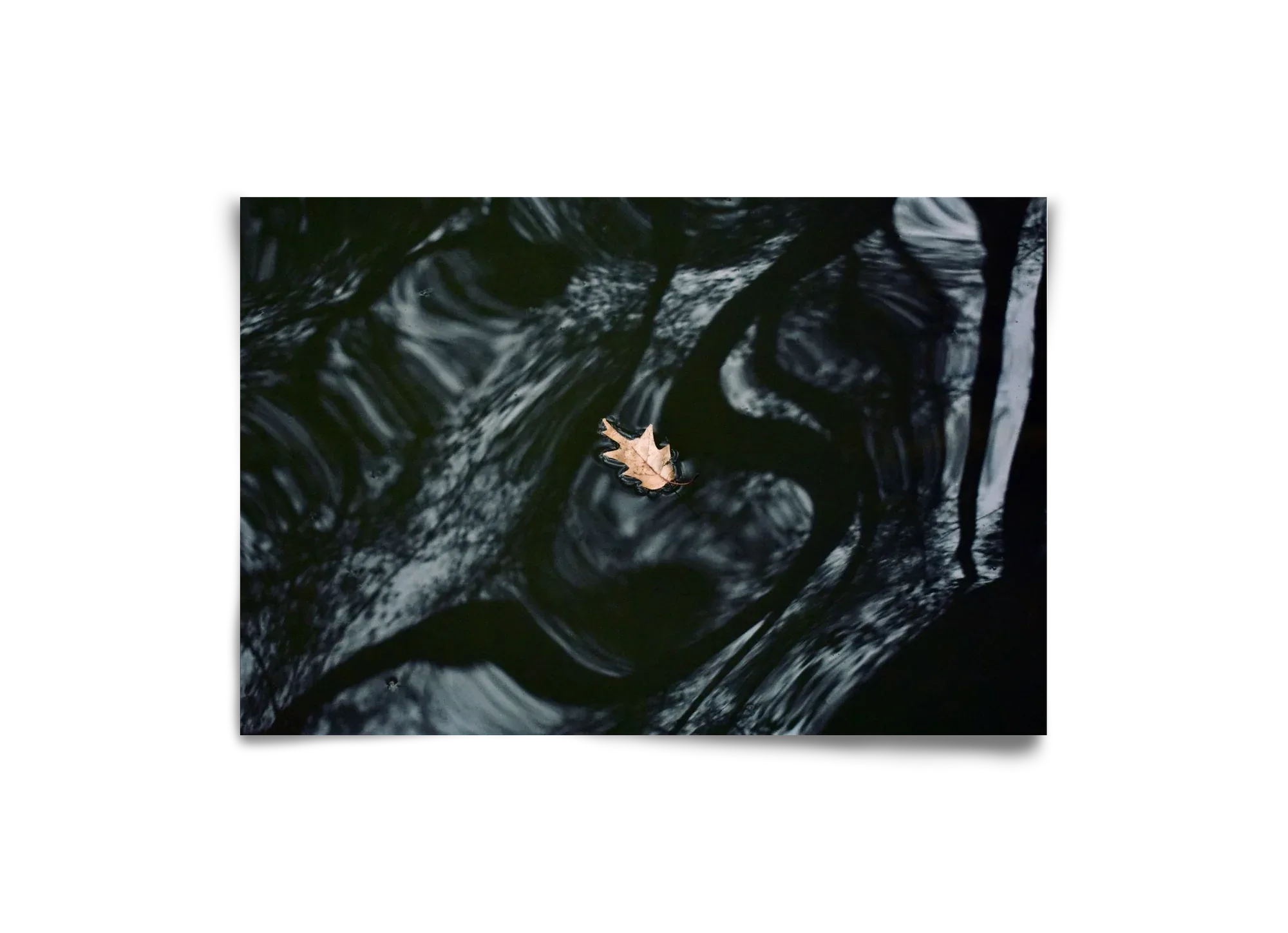 water philosophy - artbridge