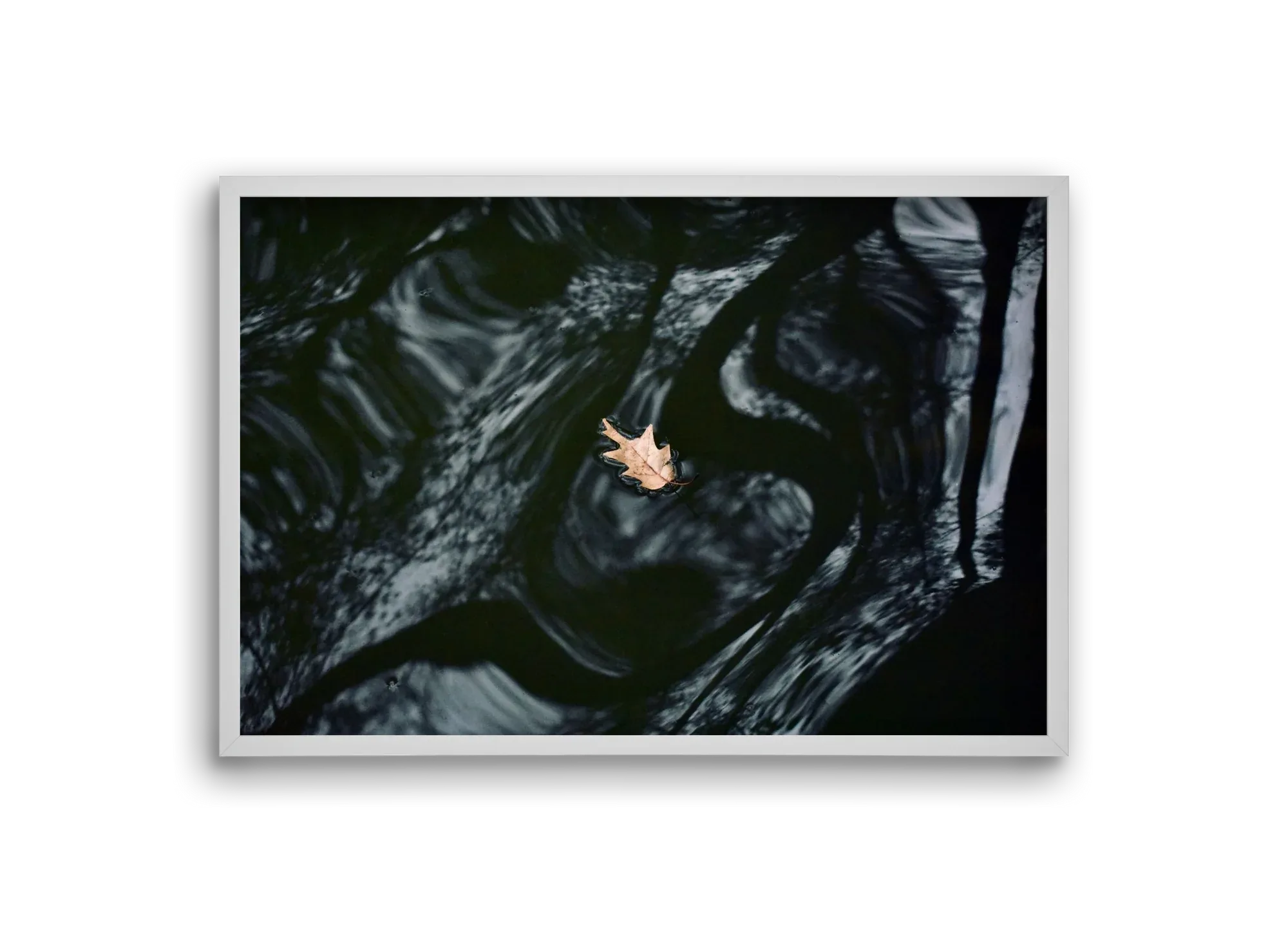 water philosophy - artbridge