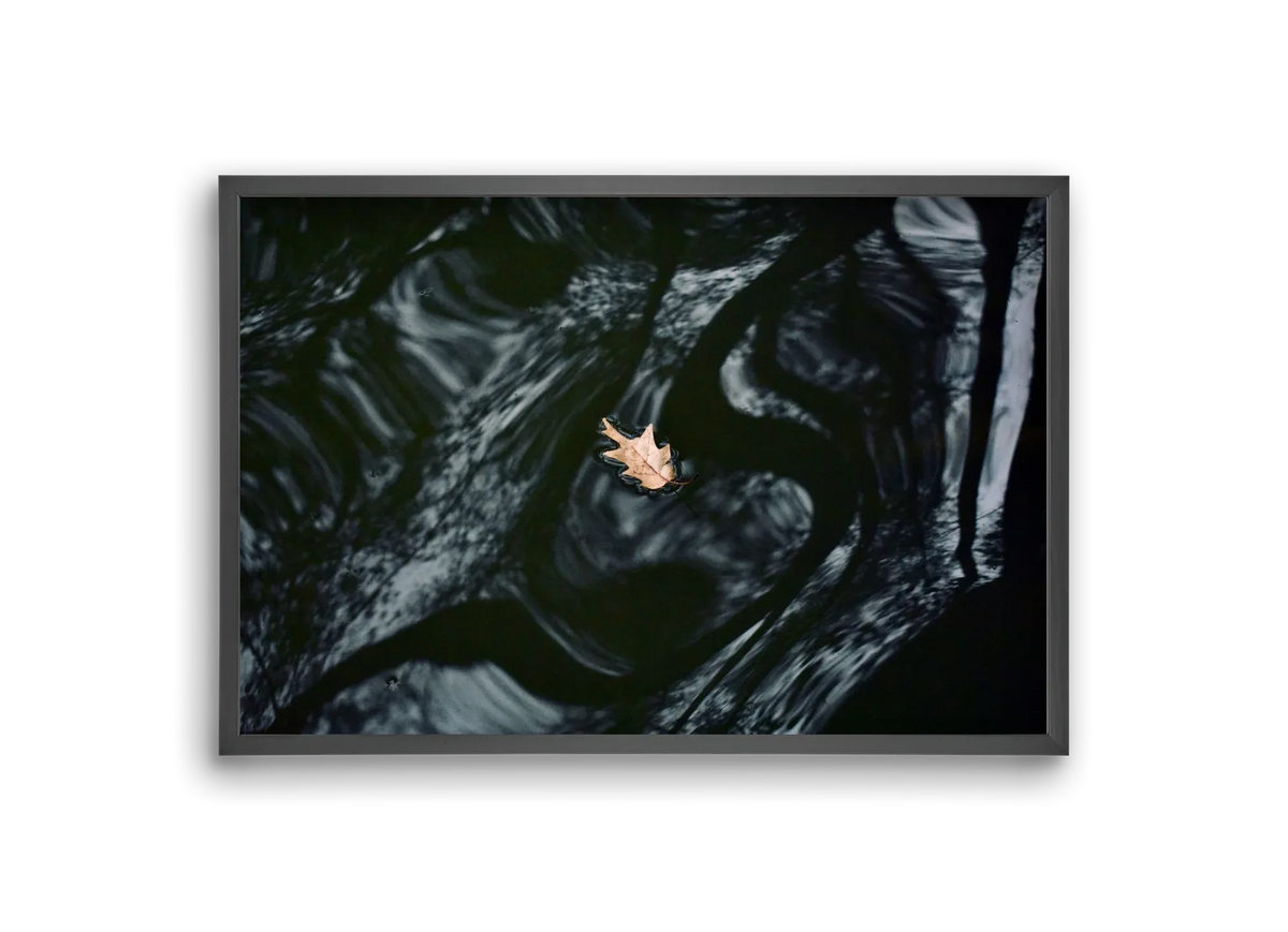 water philosophy - artbridge