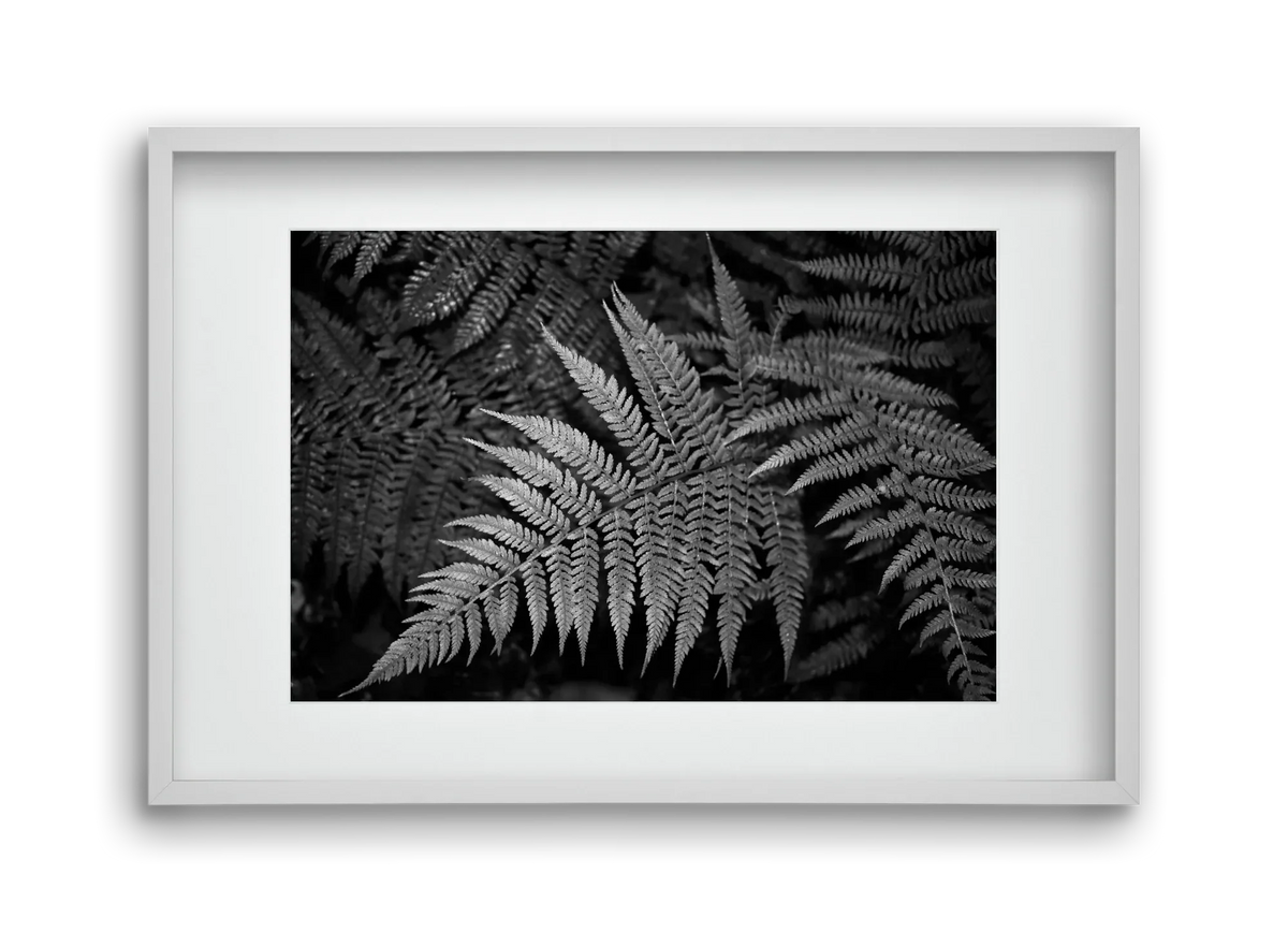bracken joy - artbridge