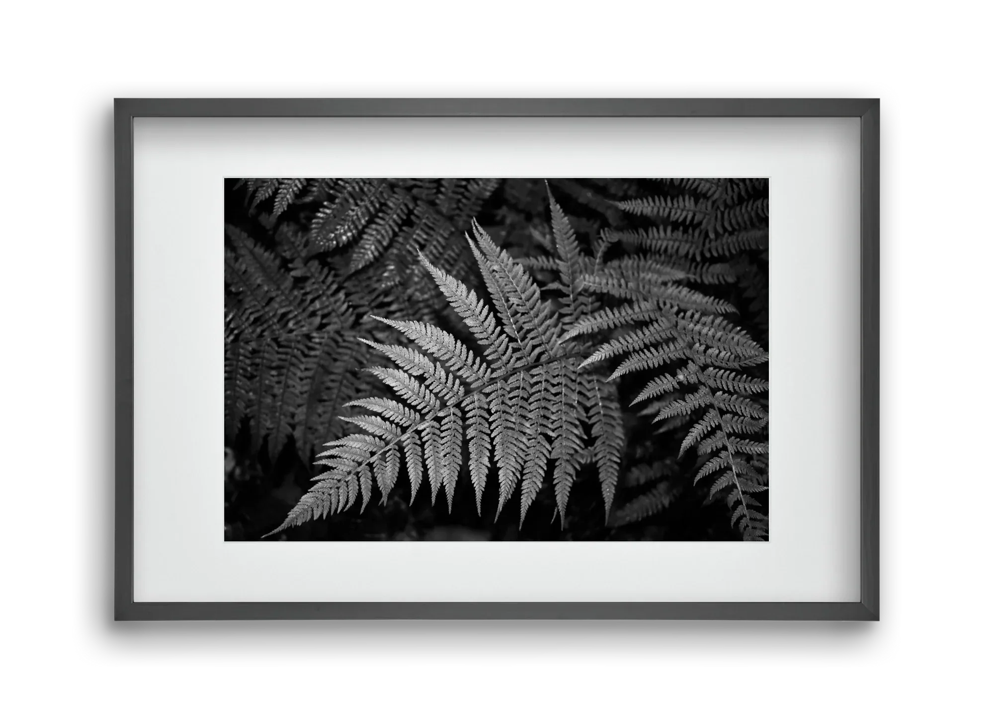 bracken joy - artbridge