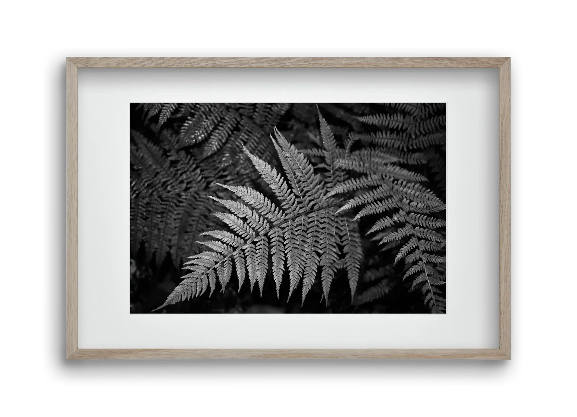 bracken joy - artbridge