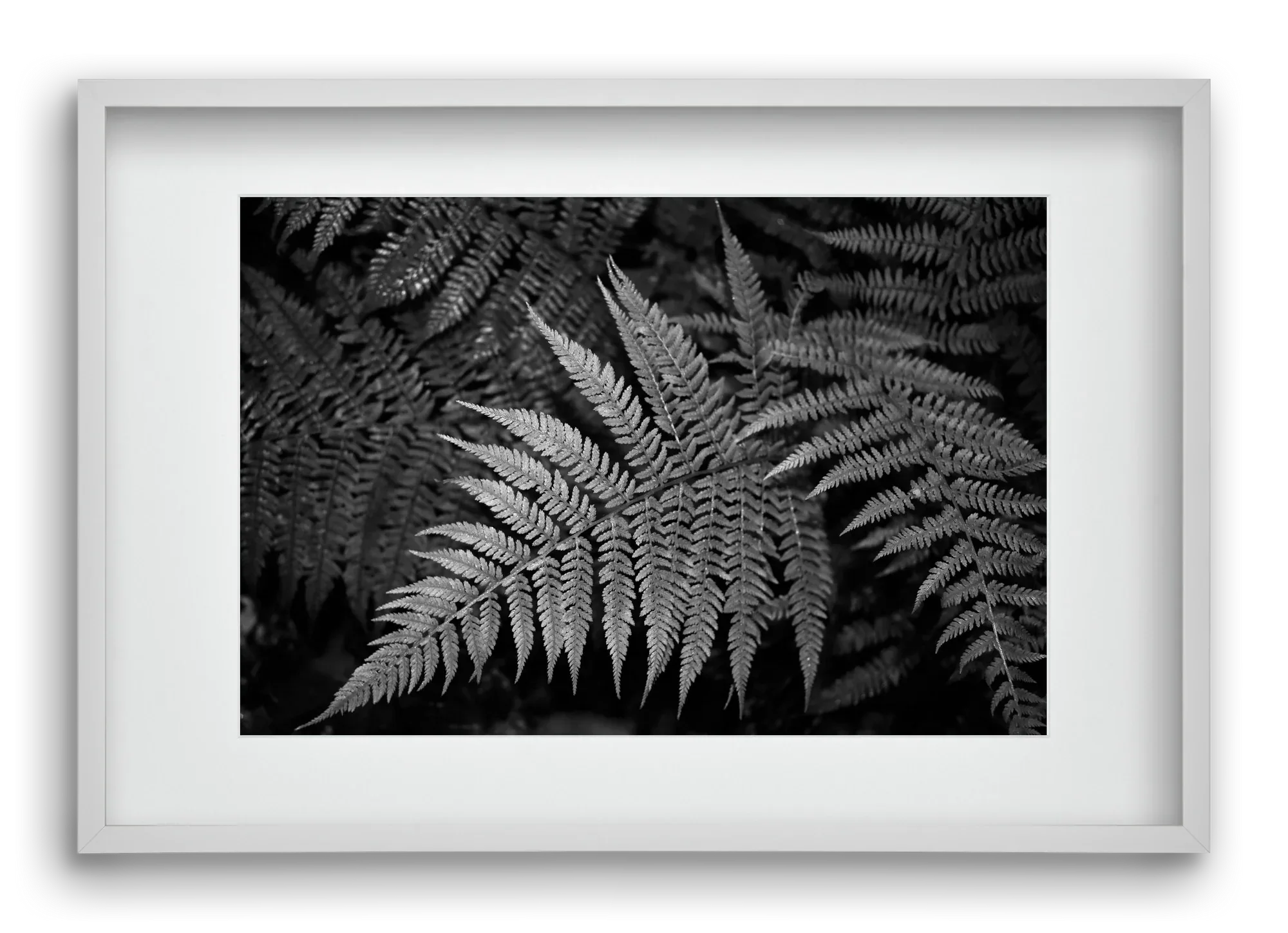 bracken joy - artbridge