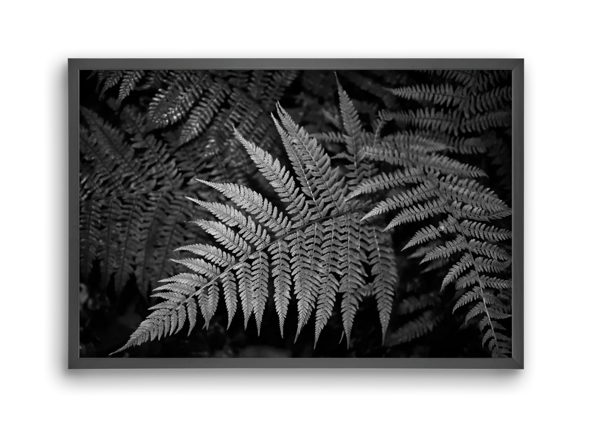bracken joy - artbridge