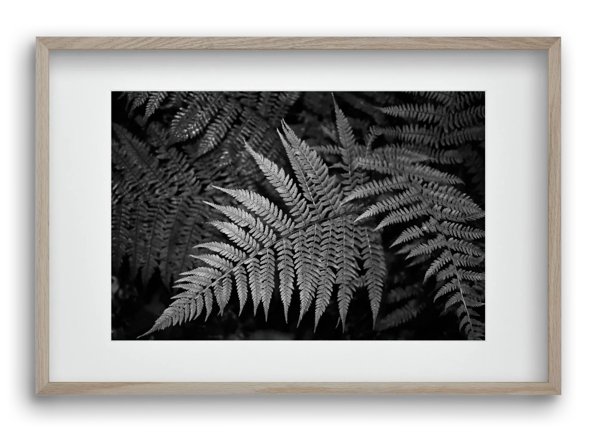 bracken joy - artbridge