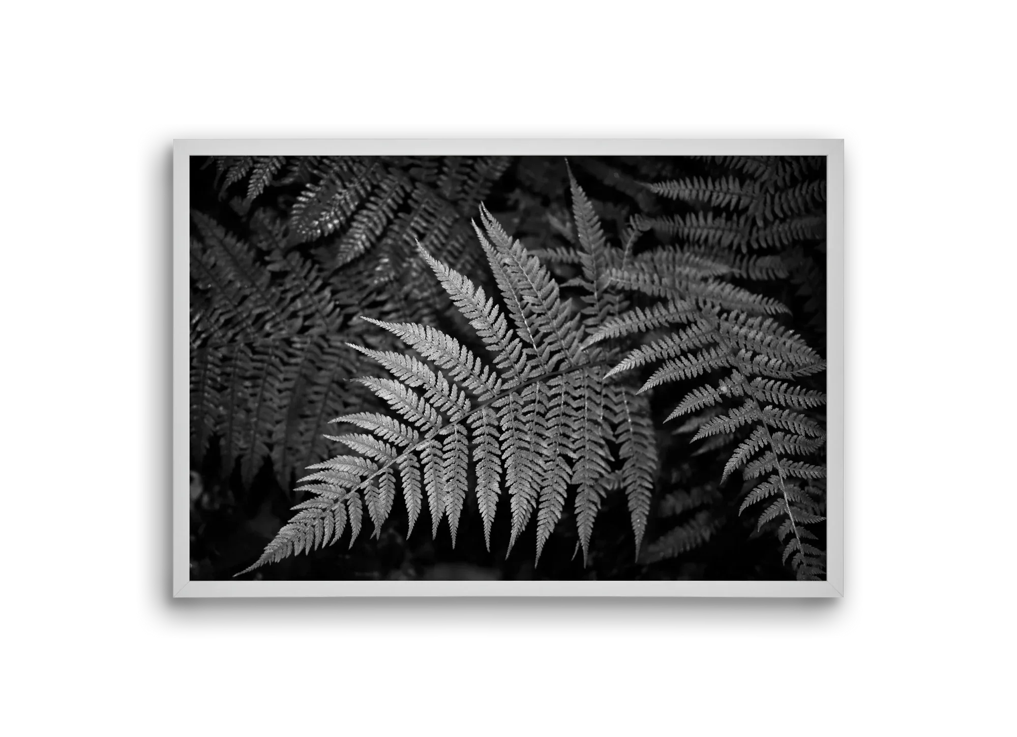 bracken joy - artbridge